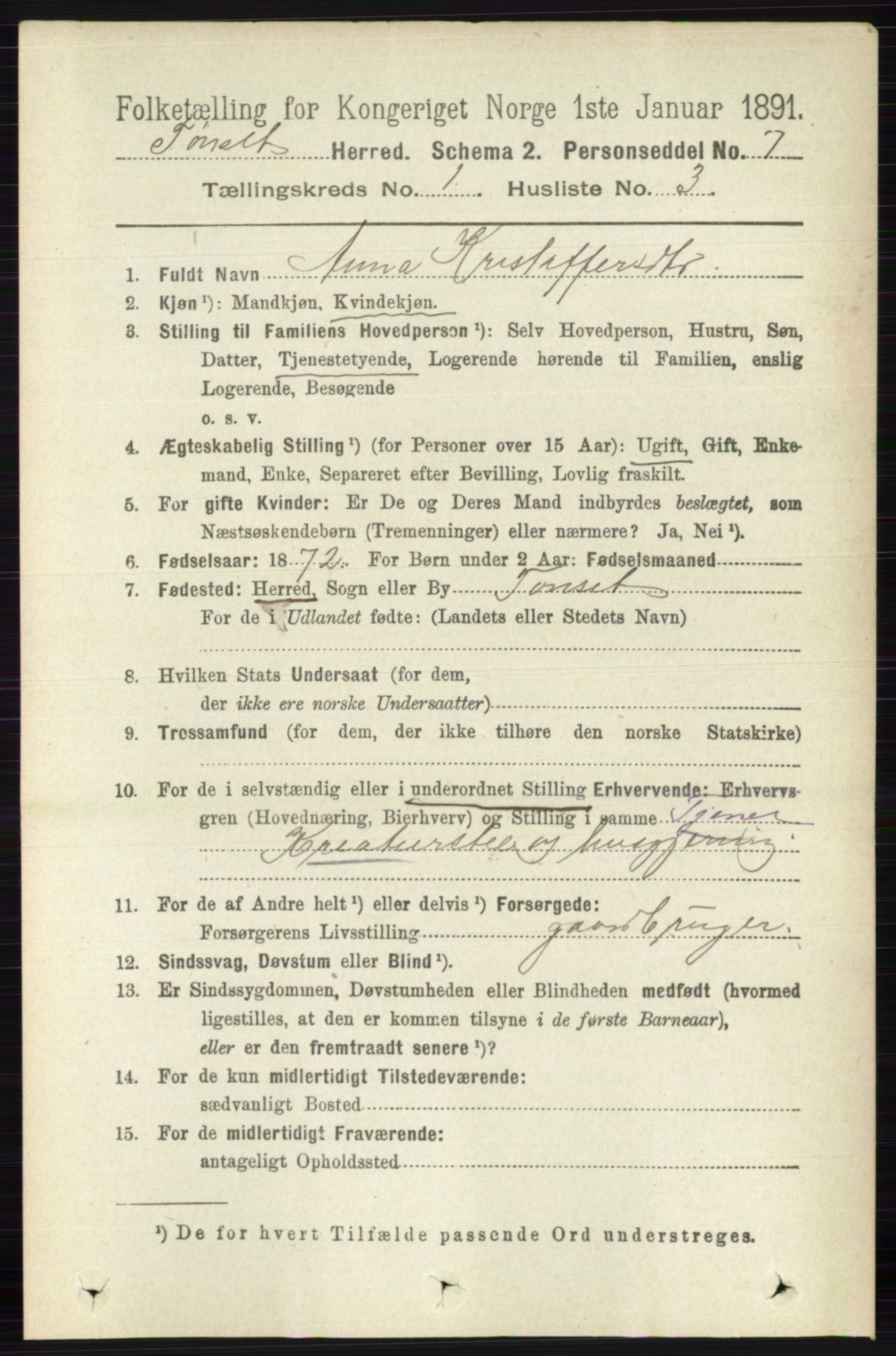 RA, Folketelling 1891 for 0437 Tynset herred, 1891, s. 97