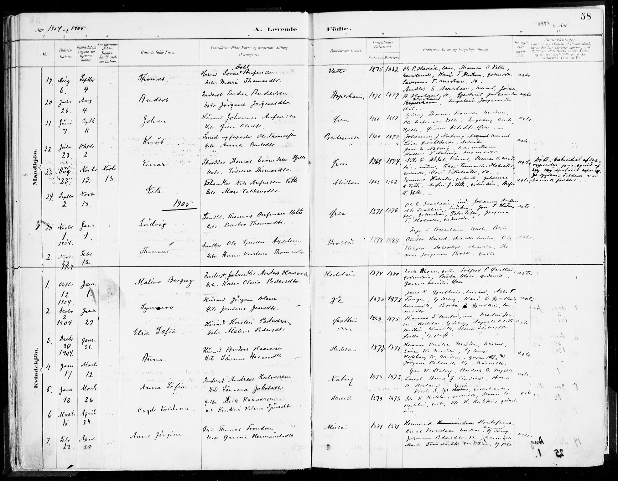Årdal sokneprestembete, AV/SAB-A-81701: Ministerialbok nr. A 5, 1887-1917, s. 58