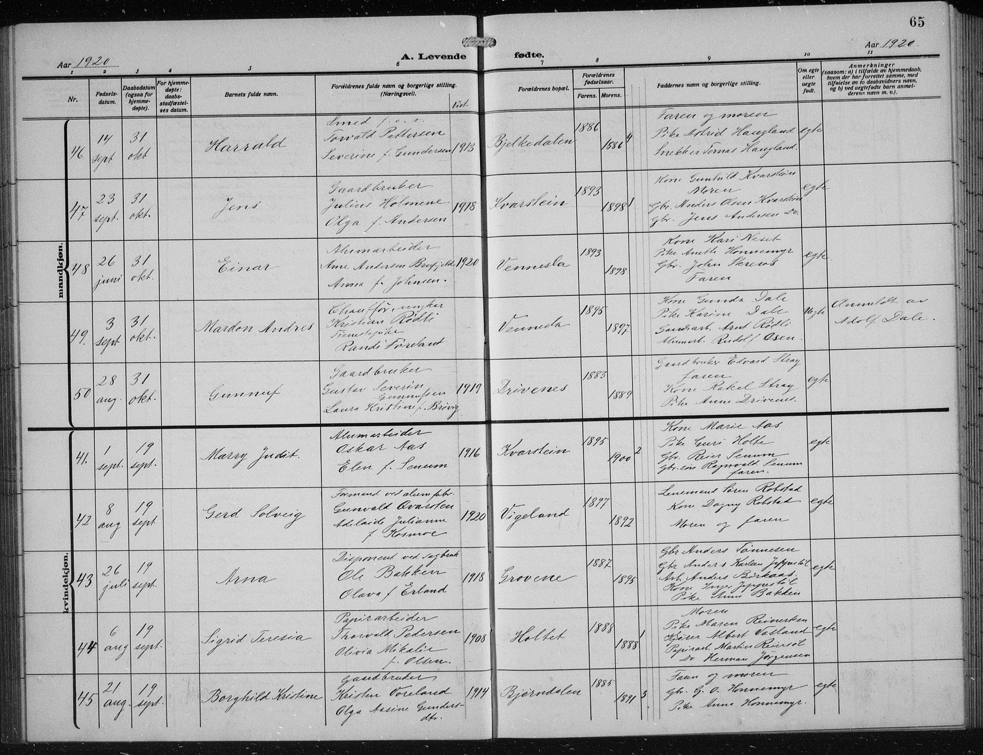 Vennesla sokneprestkontor, AV/SAK-1111-0045/Fb/Fbb/L0006: Klokkerbok nr. B 6, 1914-1921, s. 65
