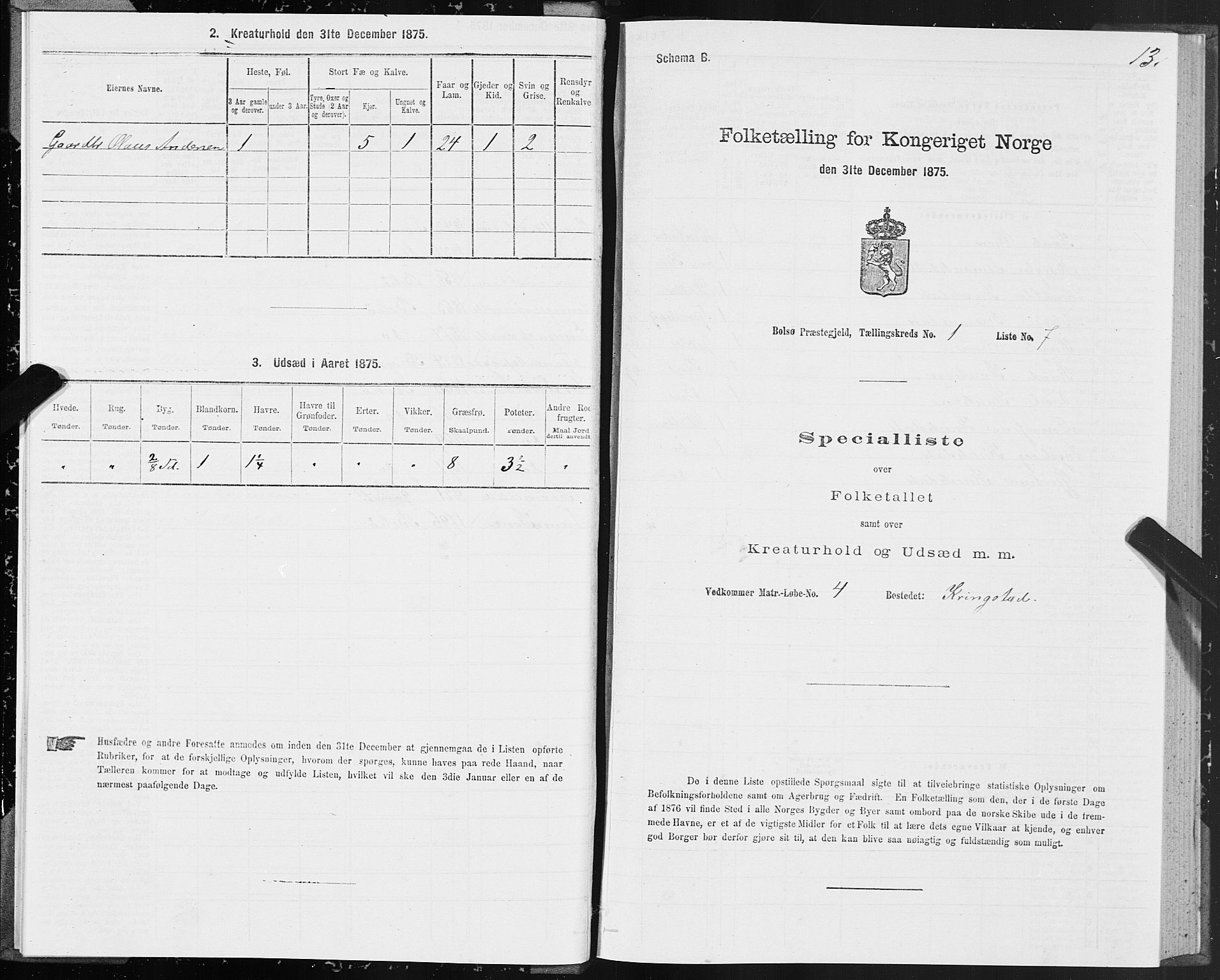 SAT, Folketelling 1875 for 1544P Bolsøy prestegjeld, 1875, s. 1013