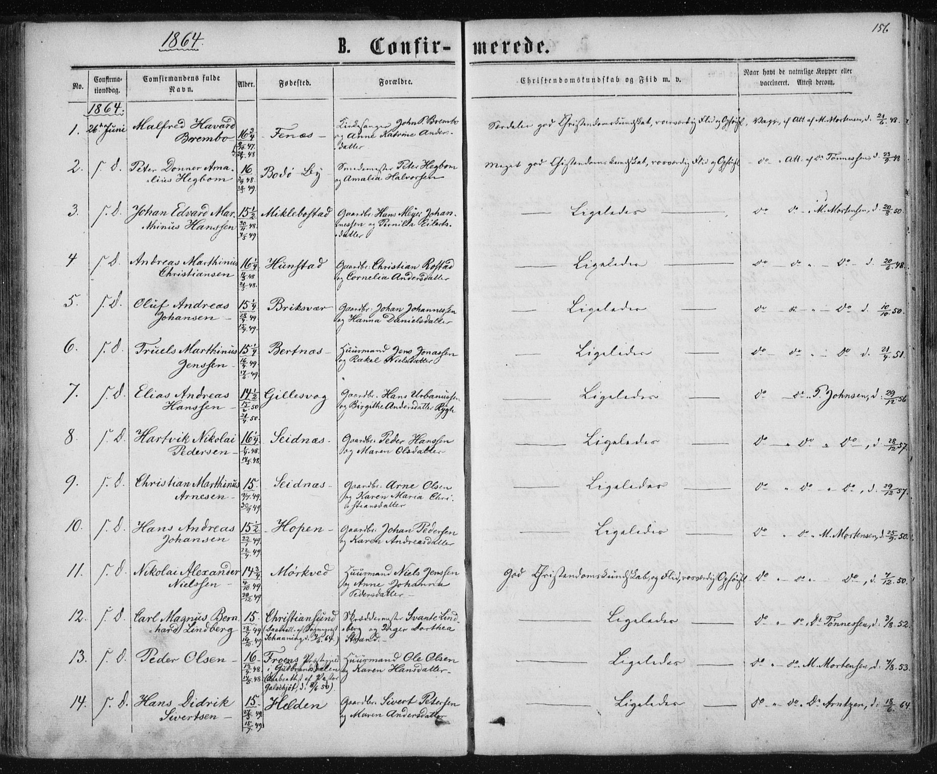 Ministerialprotokoller, klokkerbøker og fødselsregistre - Nordland, AV/SAT-A-1459/801/L0008: Ministerialbok nr. 801A08, 1864-1875, s. 156