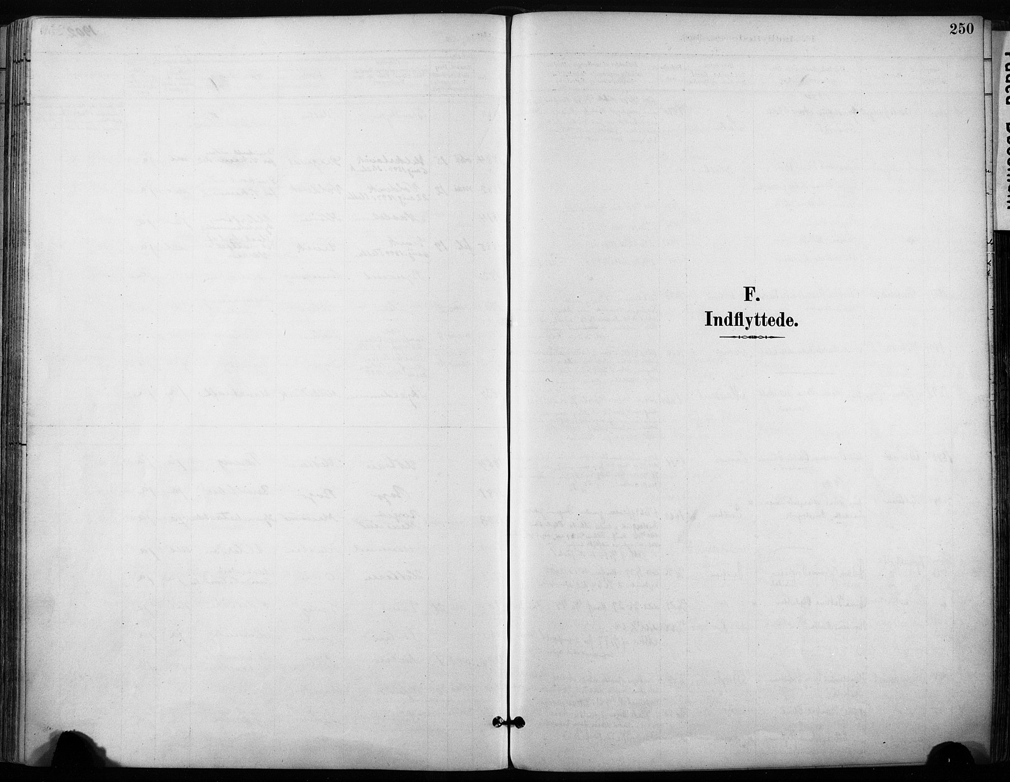 Ministerialprotokoller, klokkerbøker og fødselsregistre - Sør-Trøndelag, SAT/A-1456/640/L0579: Ministerialbok nr. 640A04, 1889-1902, s. 250