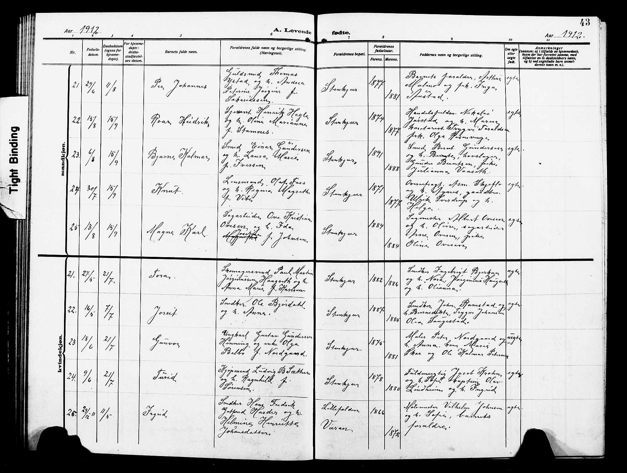 Ministerialprotokoller, klokkerbøker og fødselsregistre - Nord-Trøndelag, AV/SAT-A-1458/739/L0376: Klokkerbok nr. 739C04, 1908-1917, s. 43