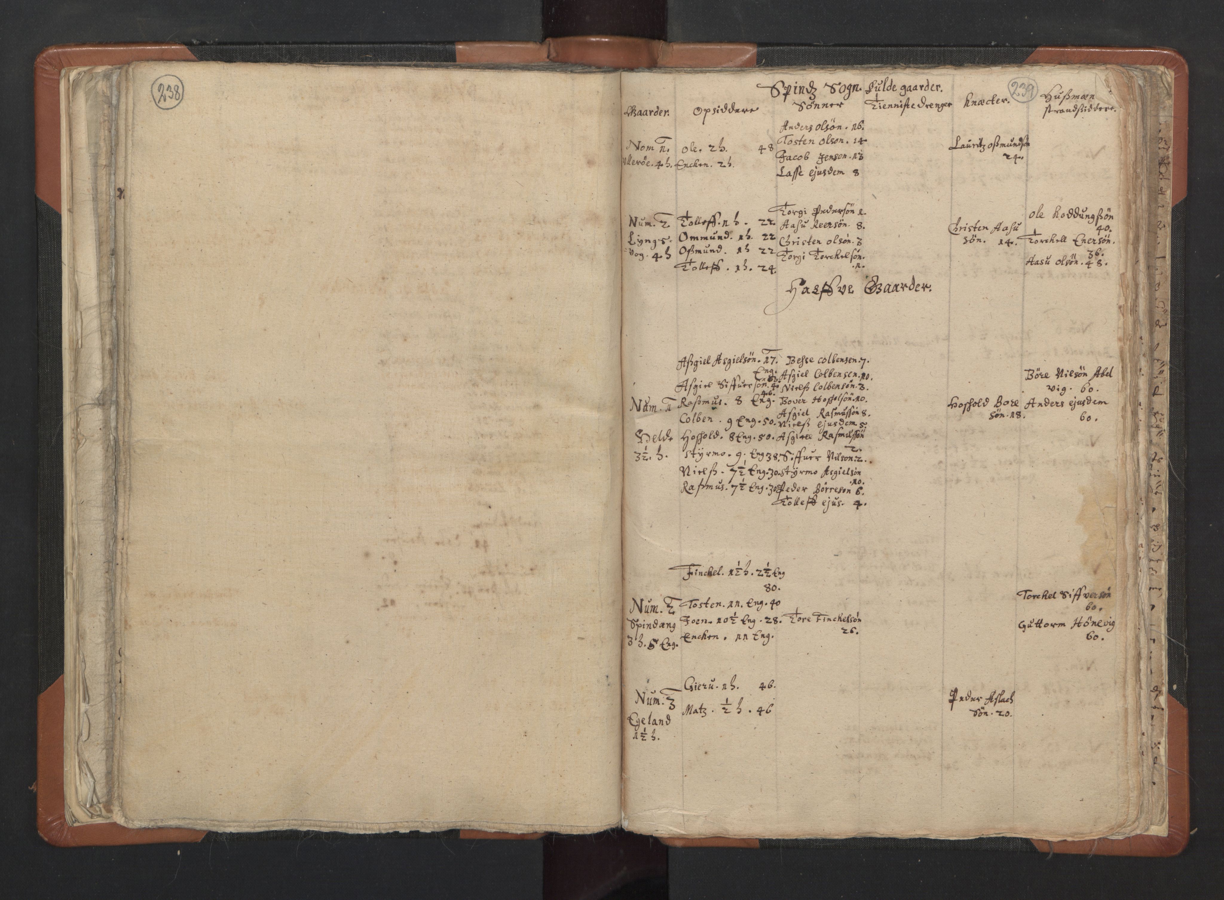 RA, Sogneprestenes manntall 1664-1666, nr. 16: Lista prosti, 1664-1666, s. 238-239