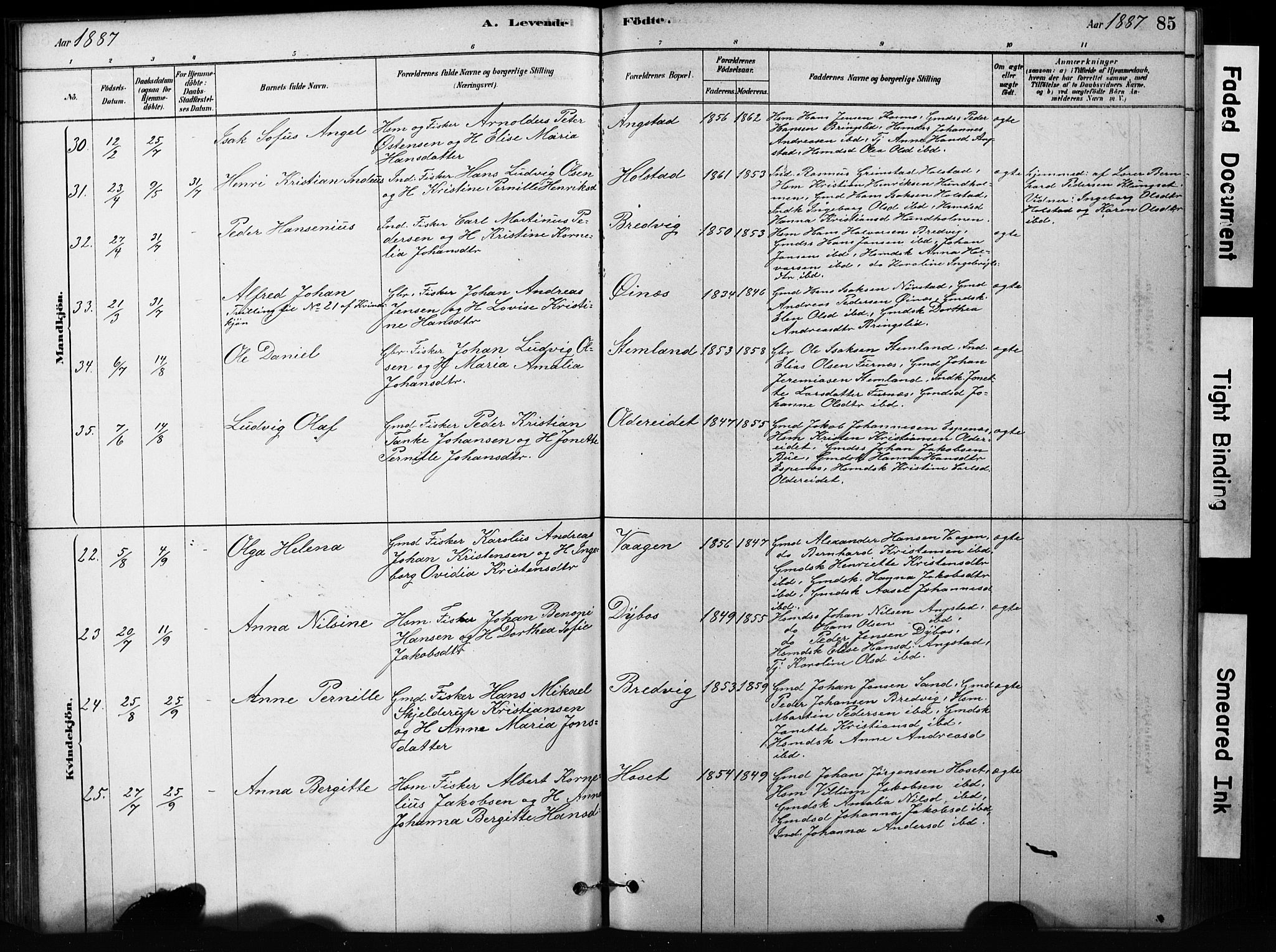 Ministerialprotokoller, klokkerbøker og fødselsregistre - Nordland, AV/SAT-A-1459/852/L0754: Klokkerbok nr. 852C05, 1878-1894, s. 85