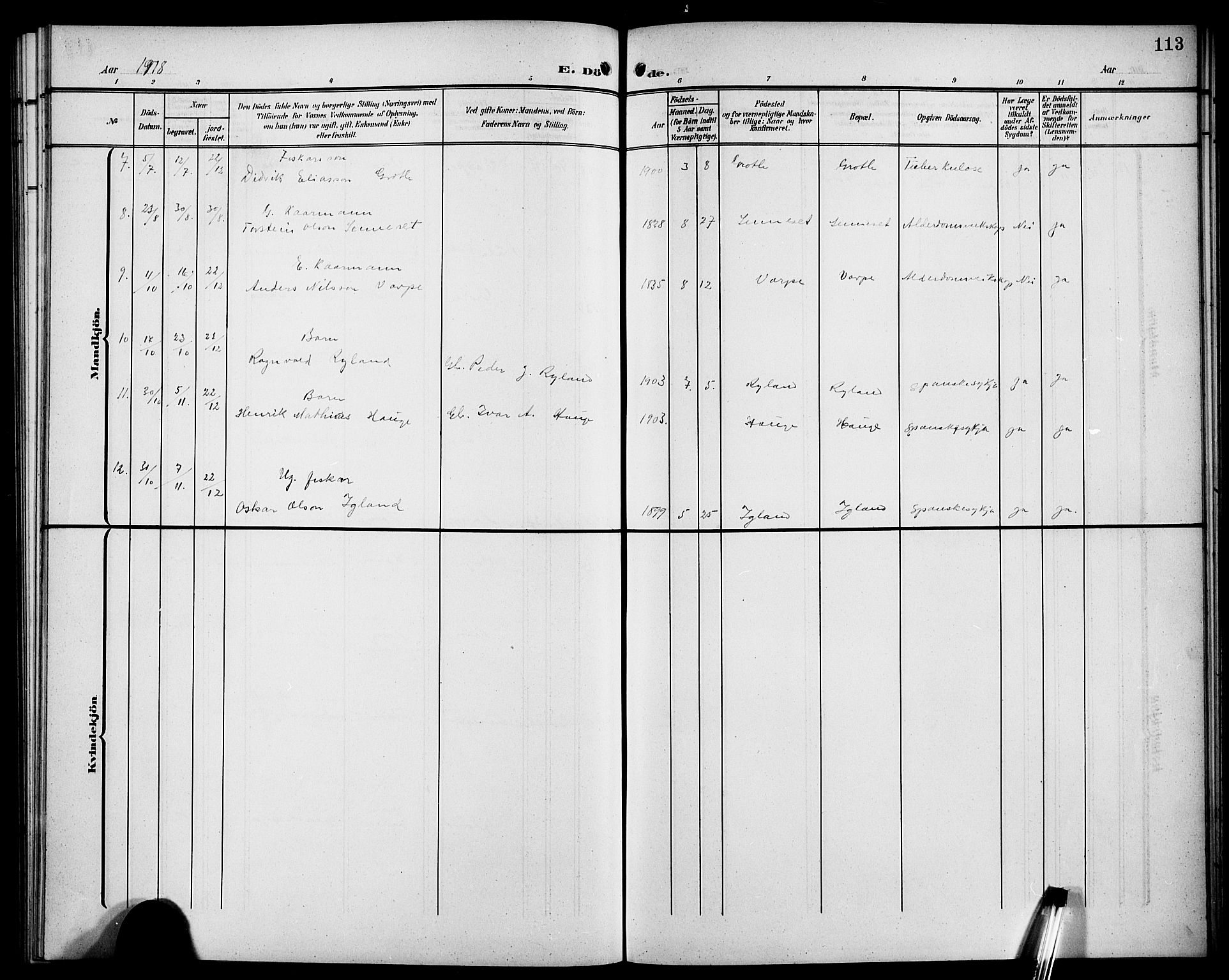 Bremanger sokneprestembete, AV/SAB-A-82201/H/Hab/Habc/L0001: Klokkerbok nr. C 1, 1908-1919, s. 113