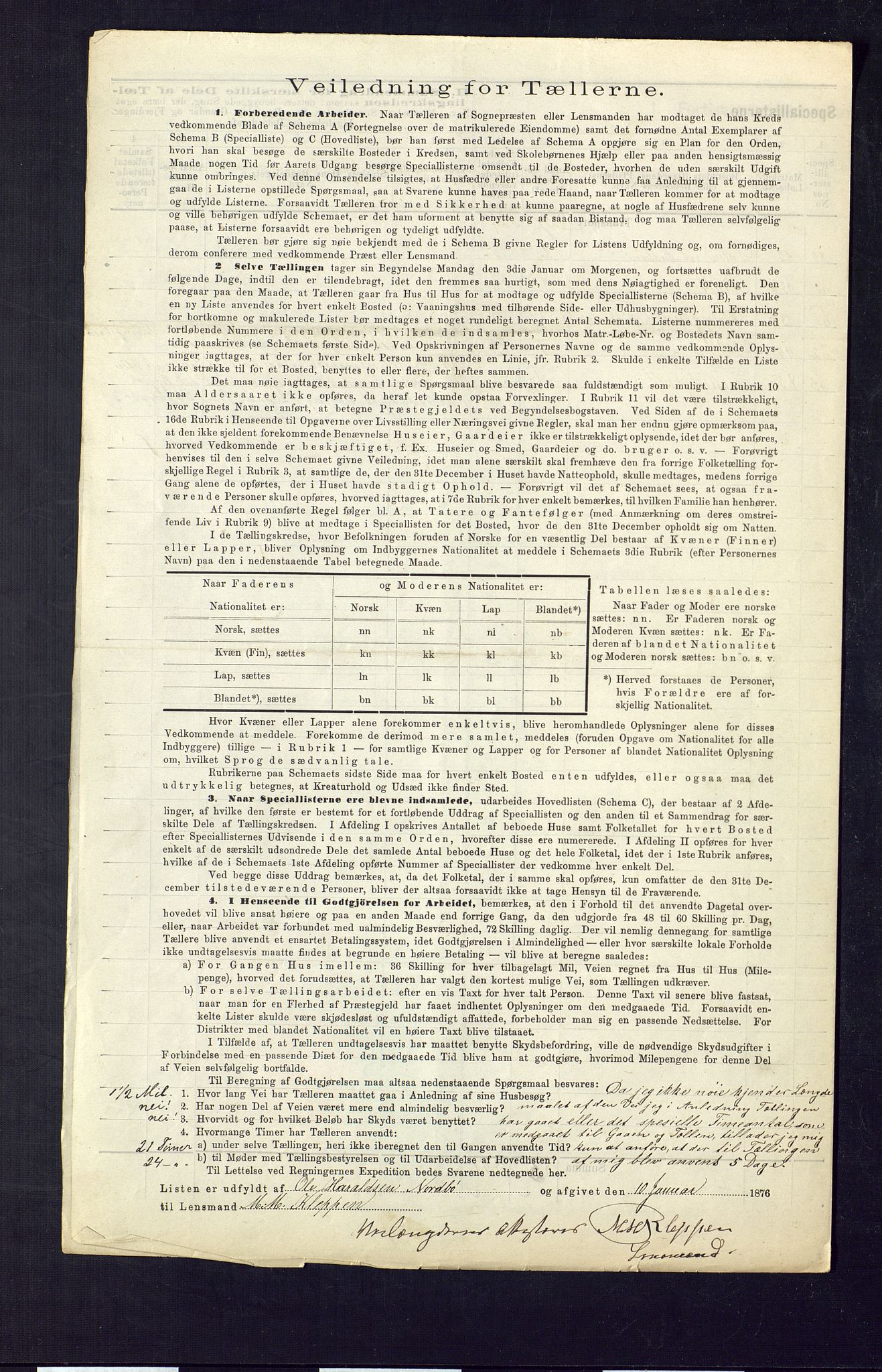 SAKO, Folketelling 1875 for 0827P Hjartdal prestegjeld, 1875, s. 8