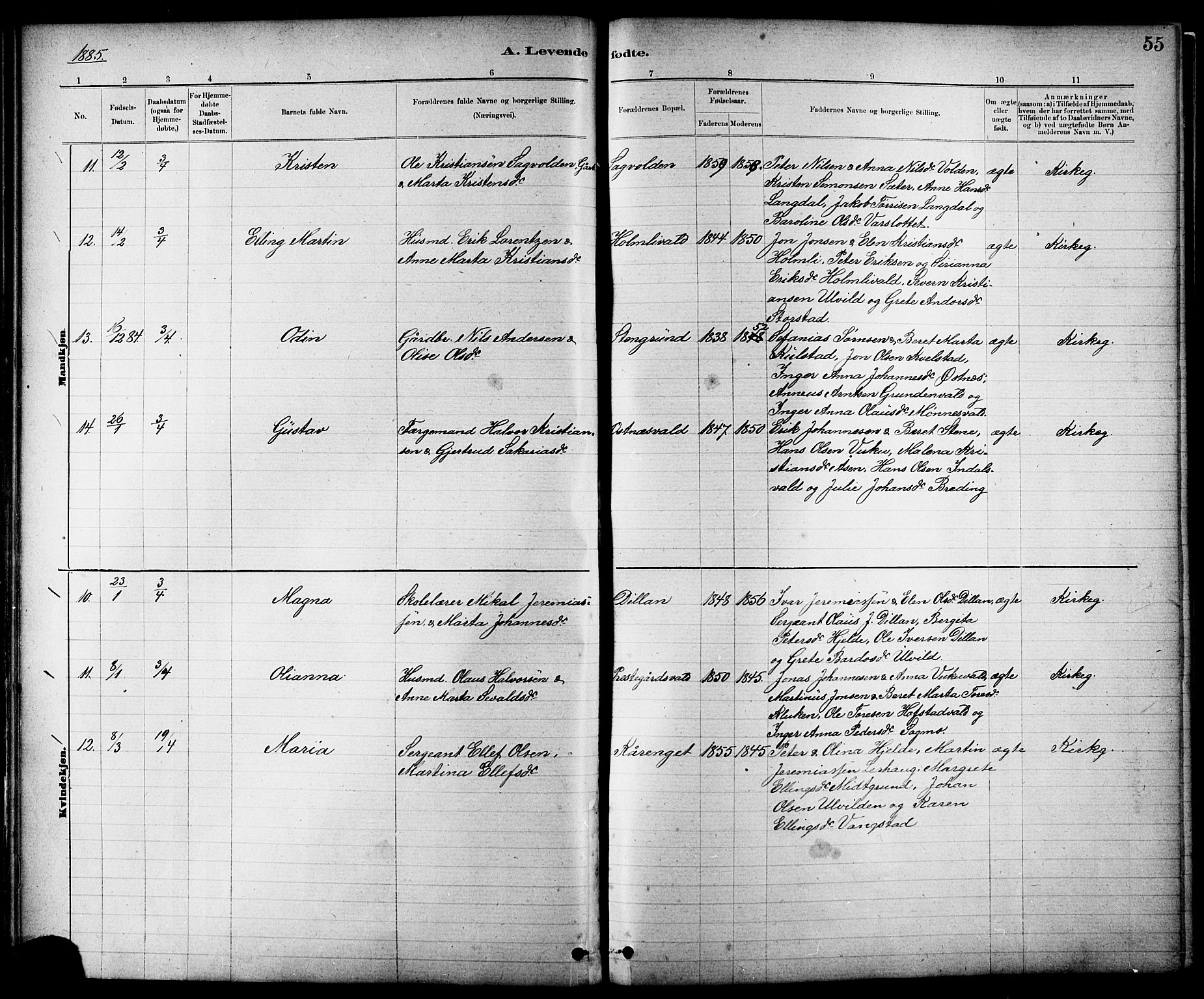 Ministerialprotokoller, klokkerbøker og fødselsregistre - Nord-Trøndelag, AV/SAT-A-1458/724/L0267: Klokkerbok nr. 724C03, 1879-1898, s. 55