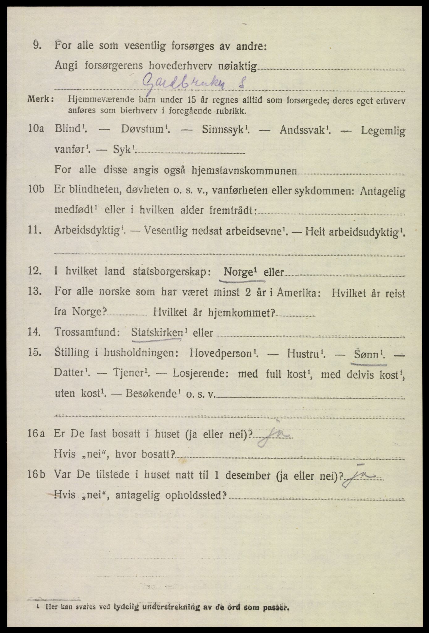 SAK, Folketelling 1920 for 0936 Hornnes herred, 1920, s. 3260