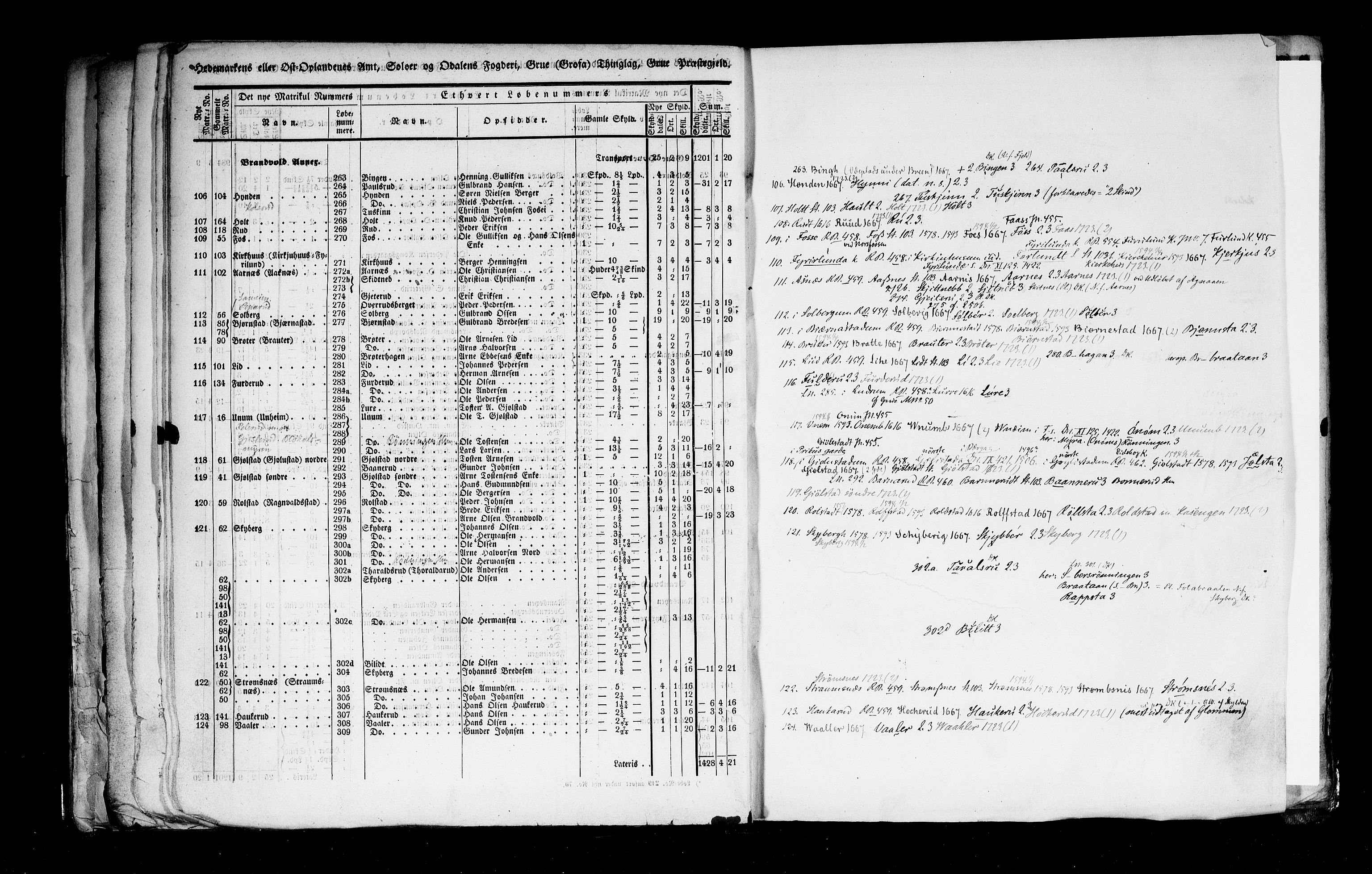 Rygh, AV/RA-PA-0034/F/Fb/L0003: Matrikkelen for 1838 - Hedemarken amt (Hedmark fylke), 1838