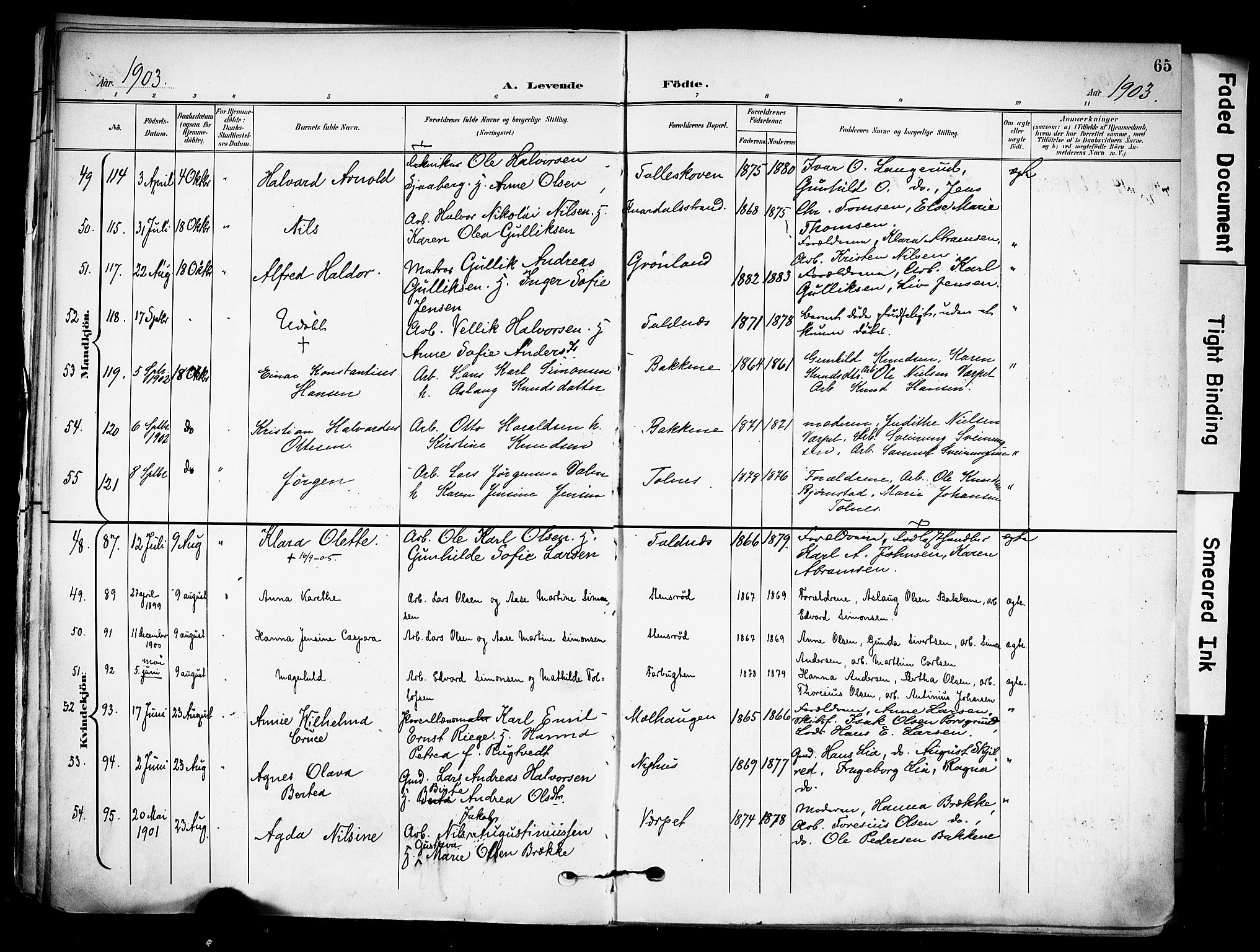 Solum kirkebøker, AV/SAKO-A-306/F/Fa/L0011: Ministerialbok nr. I 11, 1898-1909, s. 65