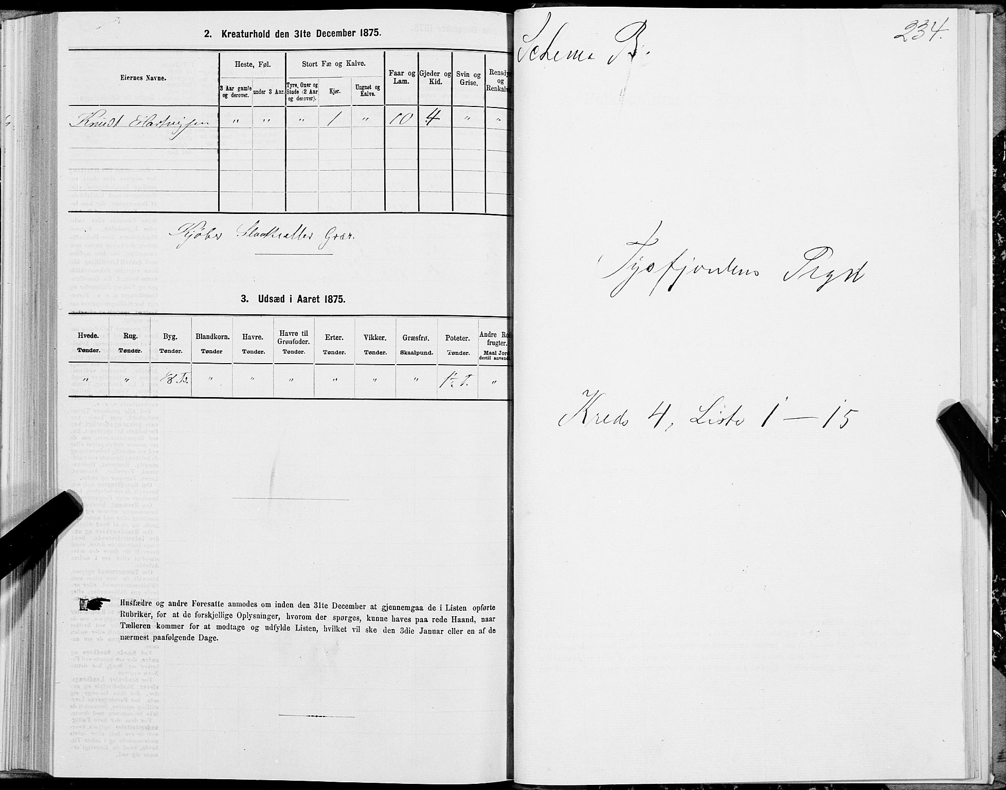 SAT, Folketelling 1875 for 1850P Tysfjord prestegjeld, 1875, s. 2234