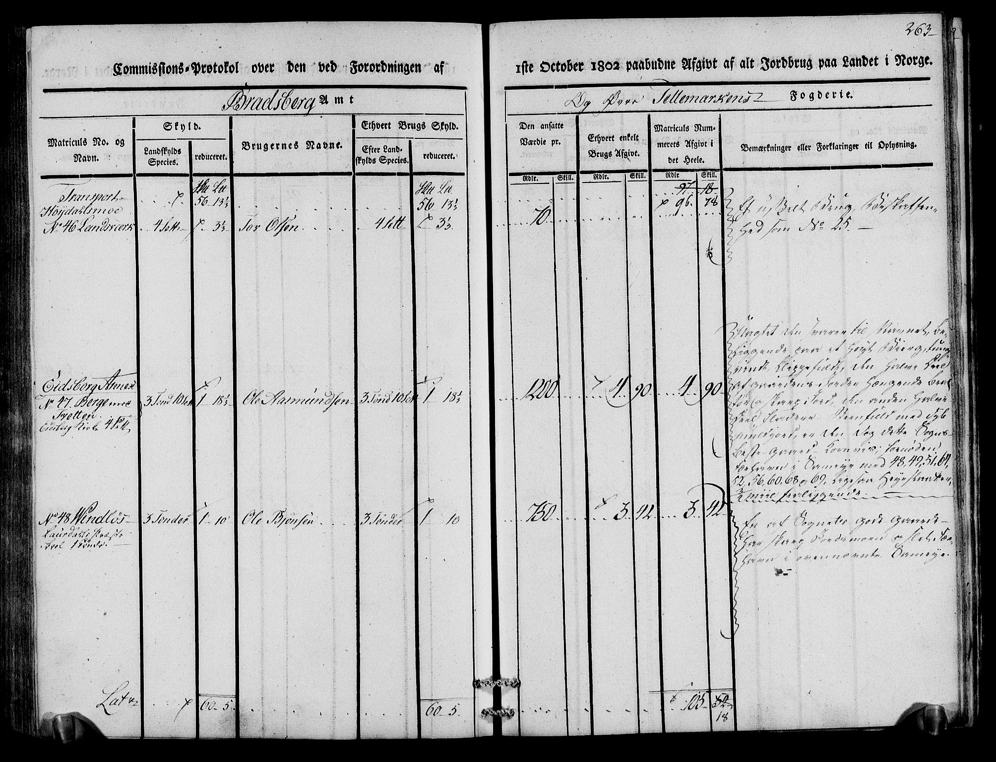 Rentekammeret inntil 1814, Realistisk ordnet avdeling, AV/RA-EA-4070/N/Ne/Nea/L0075: Øvre Telemarken fogderi. Kommisjonsprotokoll for fogderiets vestre del - Kviteseid, Vinje, Moland [):Fyresdal] og Lårdal prestegjeld., 1803, s. 265