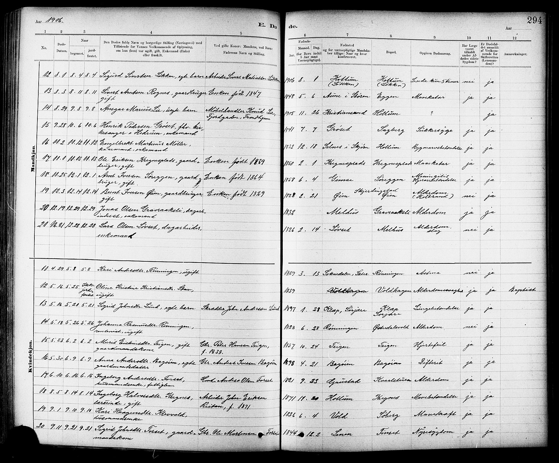 Ministerialprotokoller, klokkerbøker og fødselsregistre - Sør-Trøndelag, SAT/A-1456/691/L1094: Klokkerbok nr. 691C05, 1879-1911, s. 294