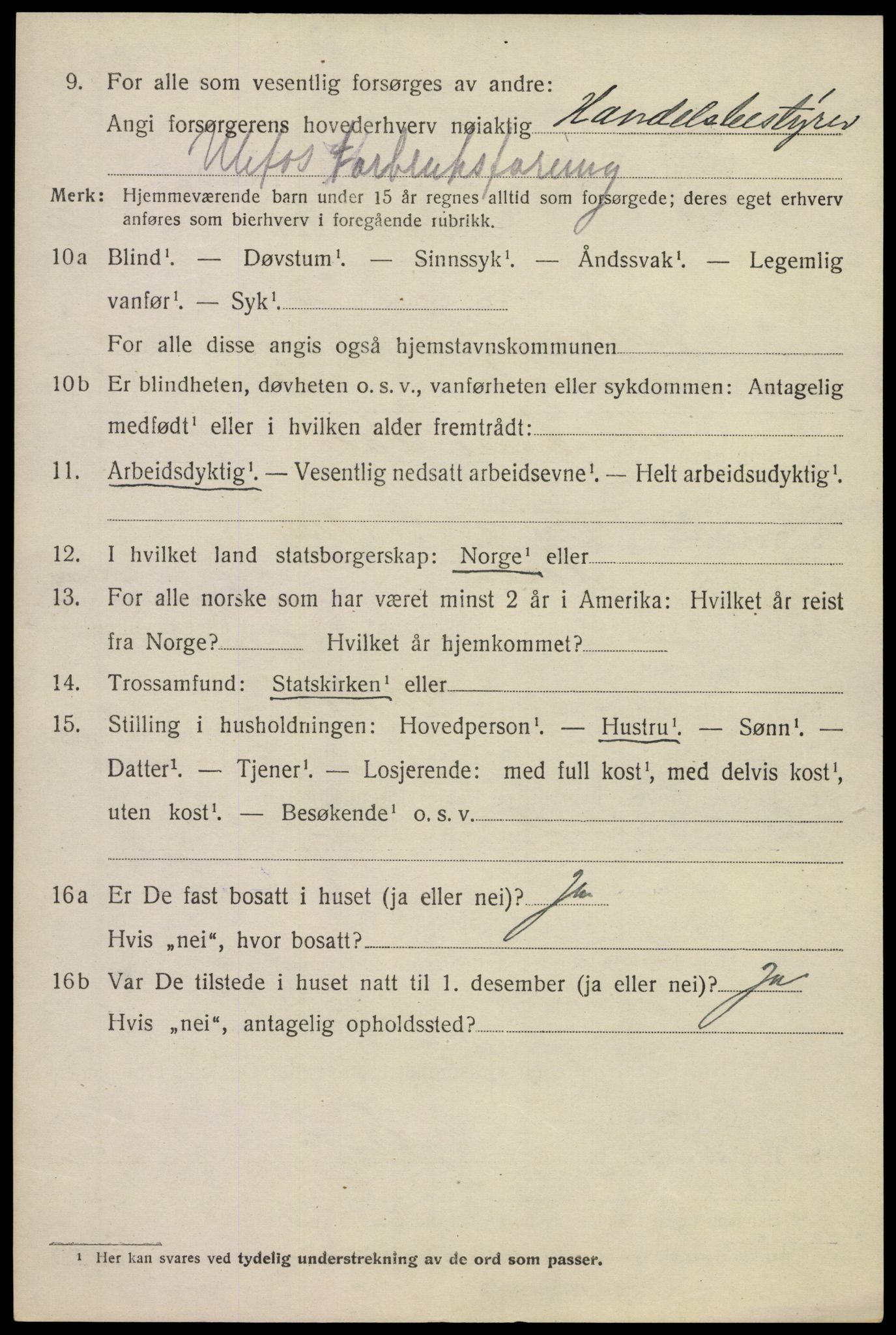 SAKO, Folketelling 1920 for 0819 Holla herred, 1920, s. 3728