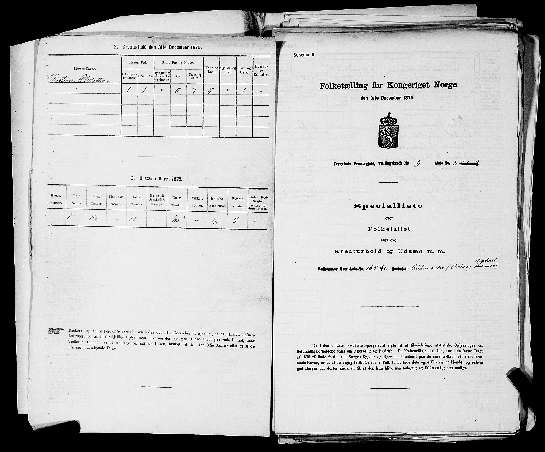 RA, Folketelling 1875 for 0122P Trøgstad prestegjeld, 1875, s. 965