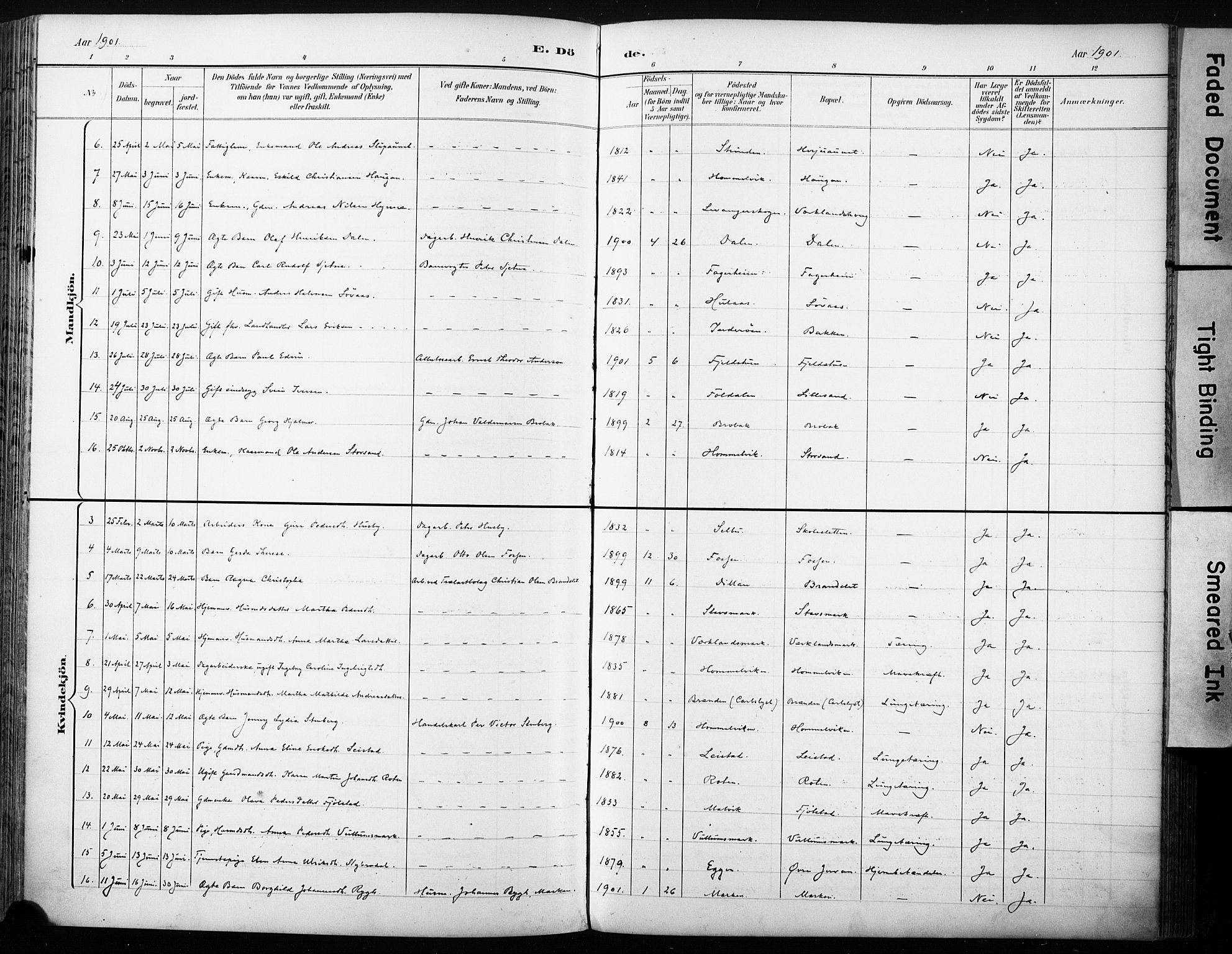 Ministerialprotokoller, klokkerbøker og fødselsregistre - Sør-Trøndelag, AV/SAT-A-1456/616/L0411: Ministerialbok nr. 616A08, 1894-1906