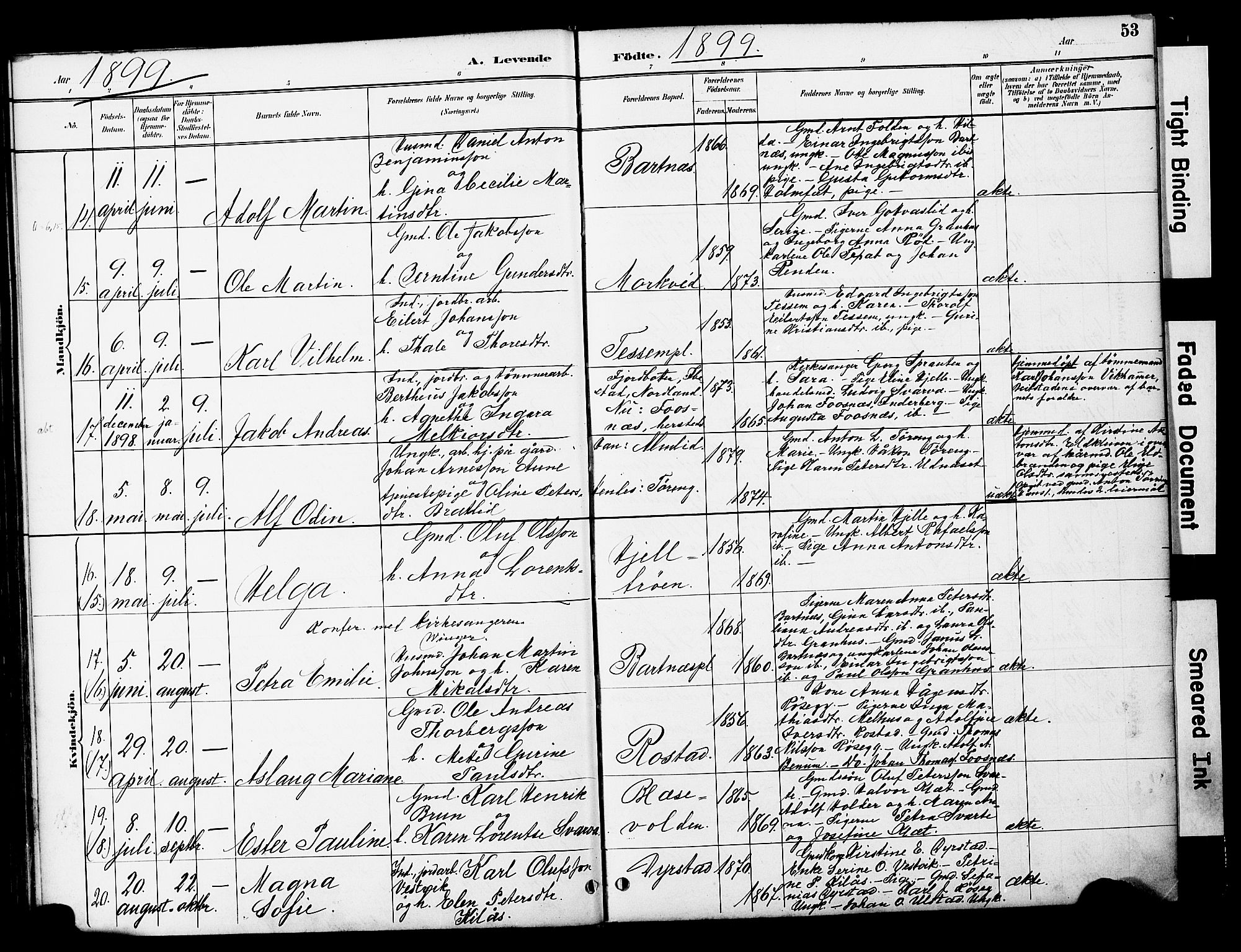 Ministerialprotokoller, klokkerbøker og fødselsregistre - Nord-Trøndelag, AV/SAT-A-1458/741/L0396: Ministerialbok nr. 741A10, 1889-1901, s. 53