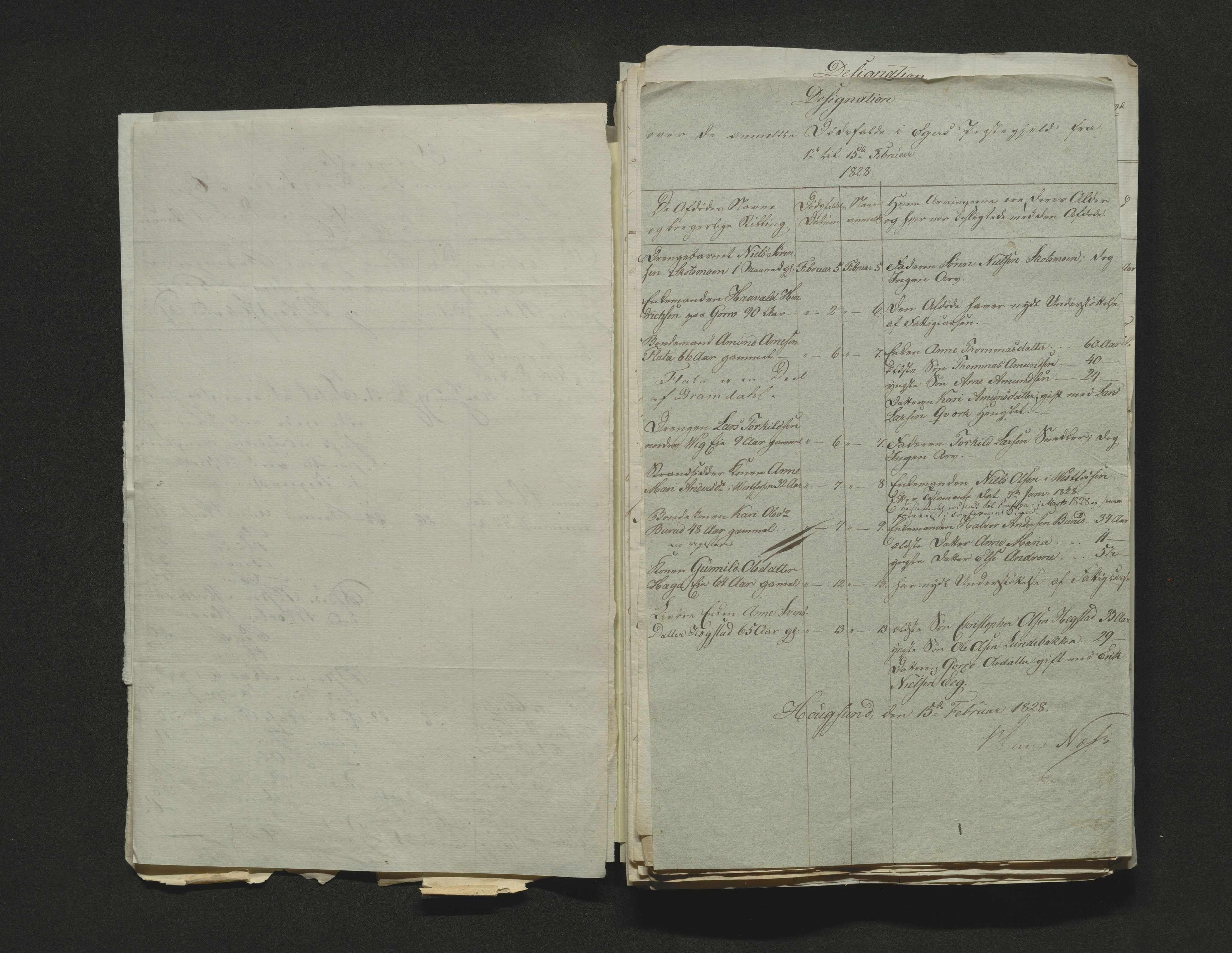 Eiker, Modum og Sigdal sorenskriveri, AV/SAKO-A-123/H/Ha/Hab/L0002: Dødsfallsmeldinger, 1823-1829, s. 246