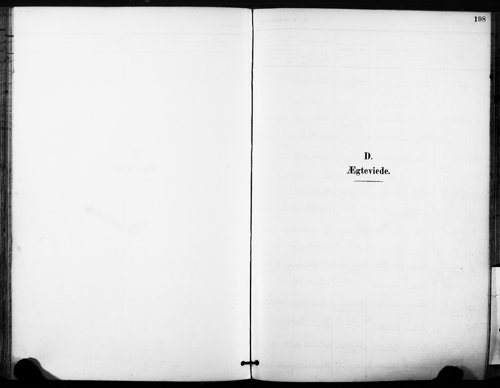 Ministerialprotokoller, klokkerbøker og fødselsregistre - Sør-Trøndelag, AV/SAT-A-1456/630/L0497: Ministerialbok nr. 630A10, 1896-1910, s. 198