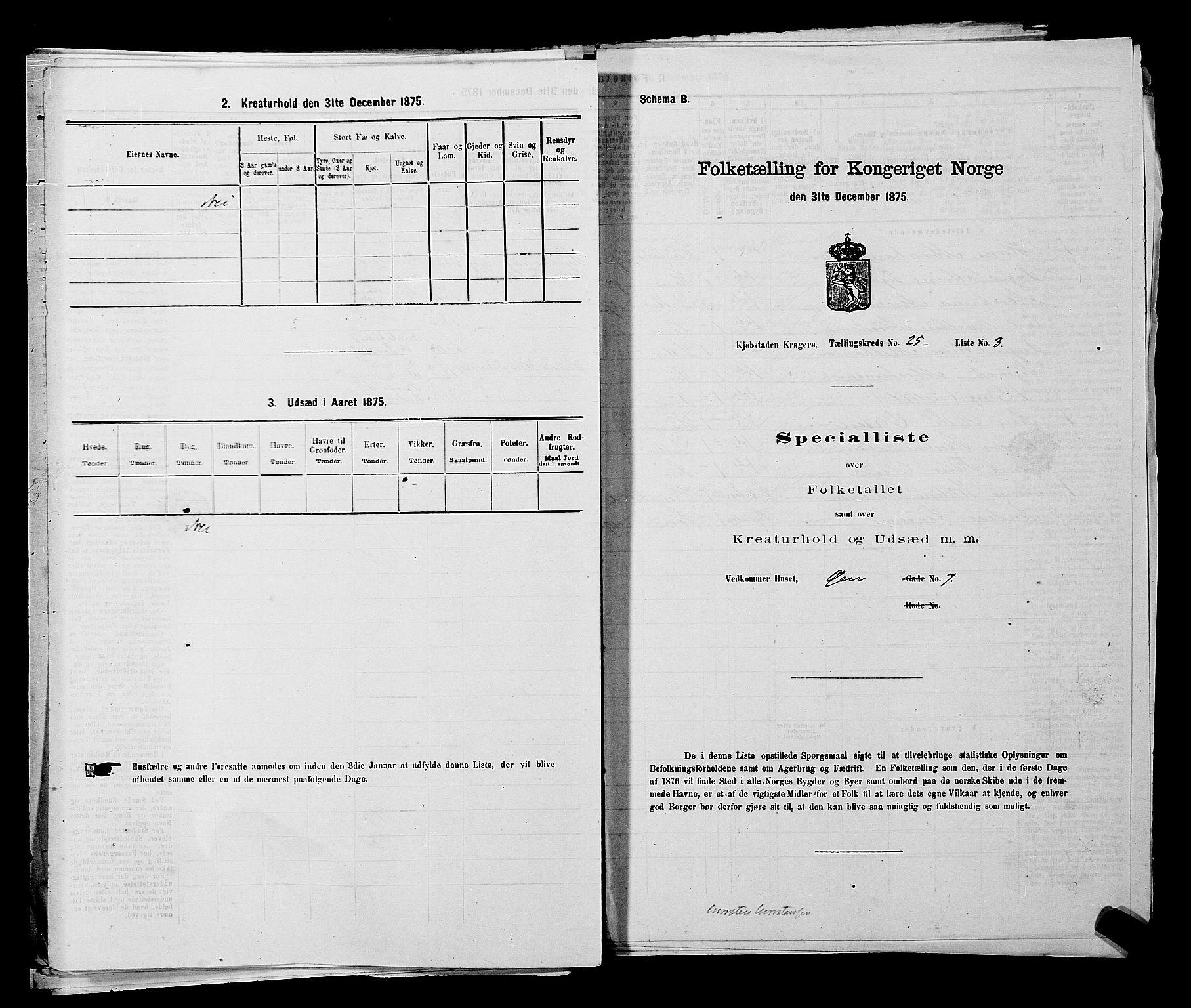 SAKO, Folketelling 1875 for 0801P Kragerø prestegjeld, 1875, s. 540