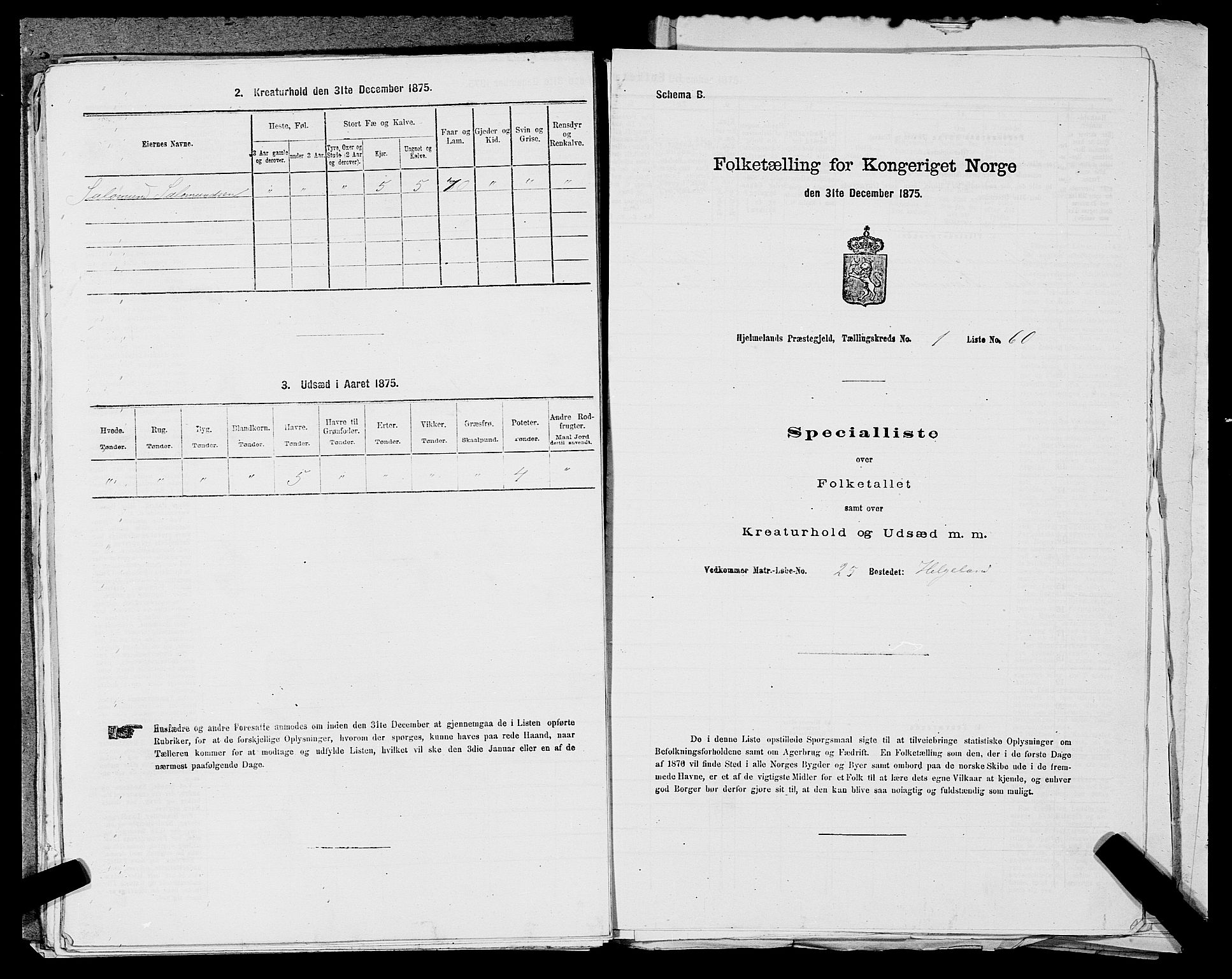 SAST, Folketelling 1875 for 1133P Hjelmeland prestegjeld, 1875, s. 191