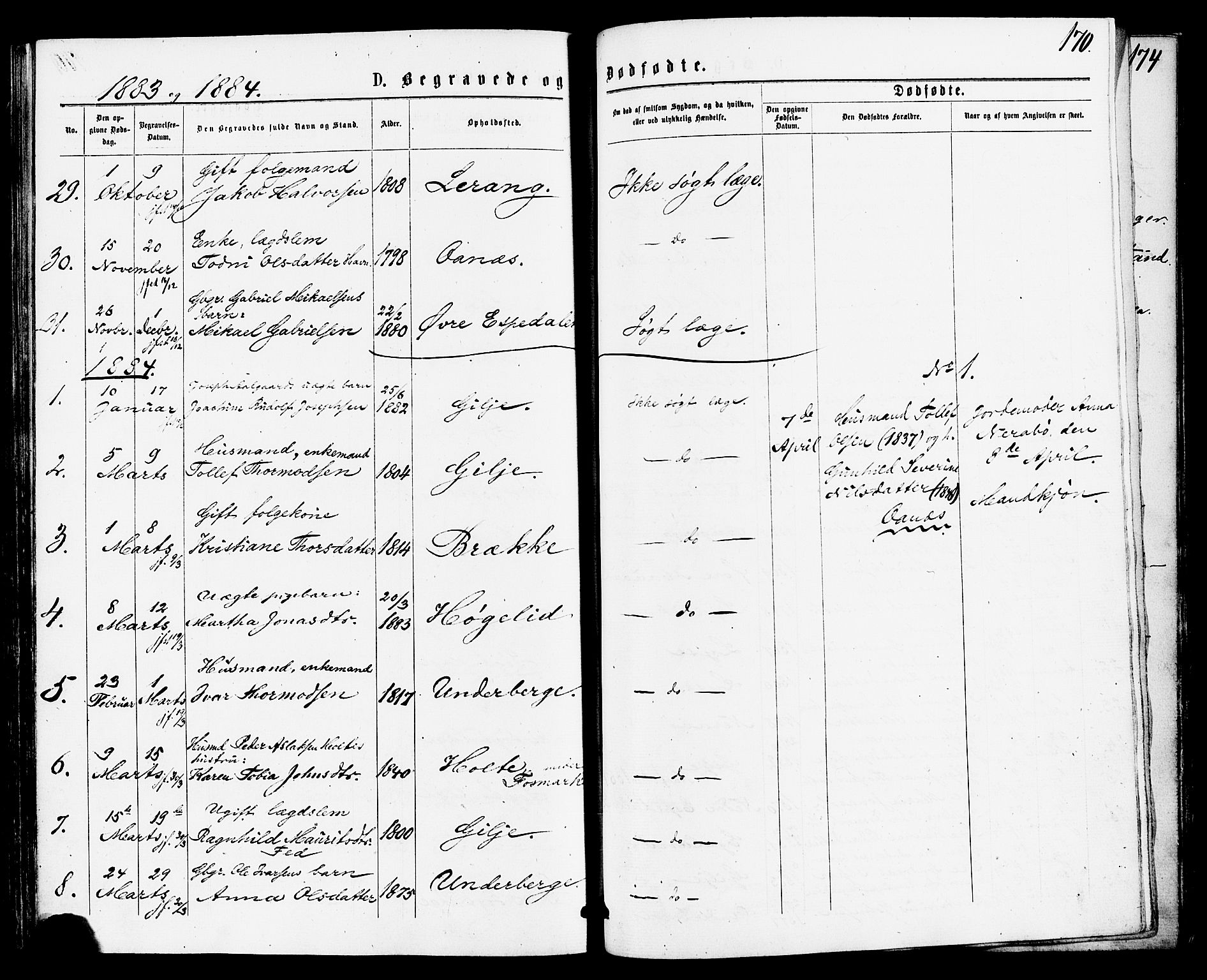 Høgsfjord sokneprestkontor, AV/SAST-A-101624/H/Ha/Haa/L0004: Ministerialbok nr. A 4, 1876-1884, s. 170