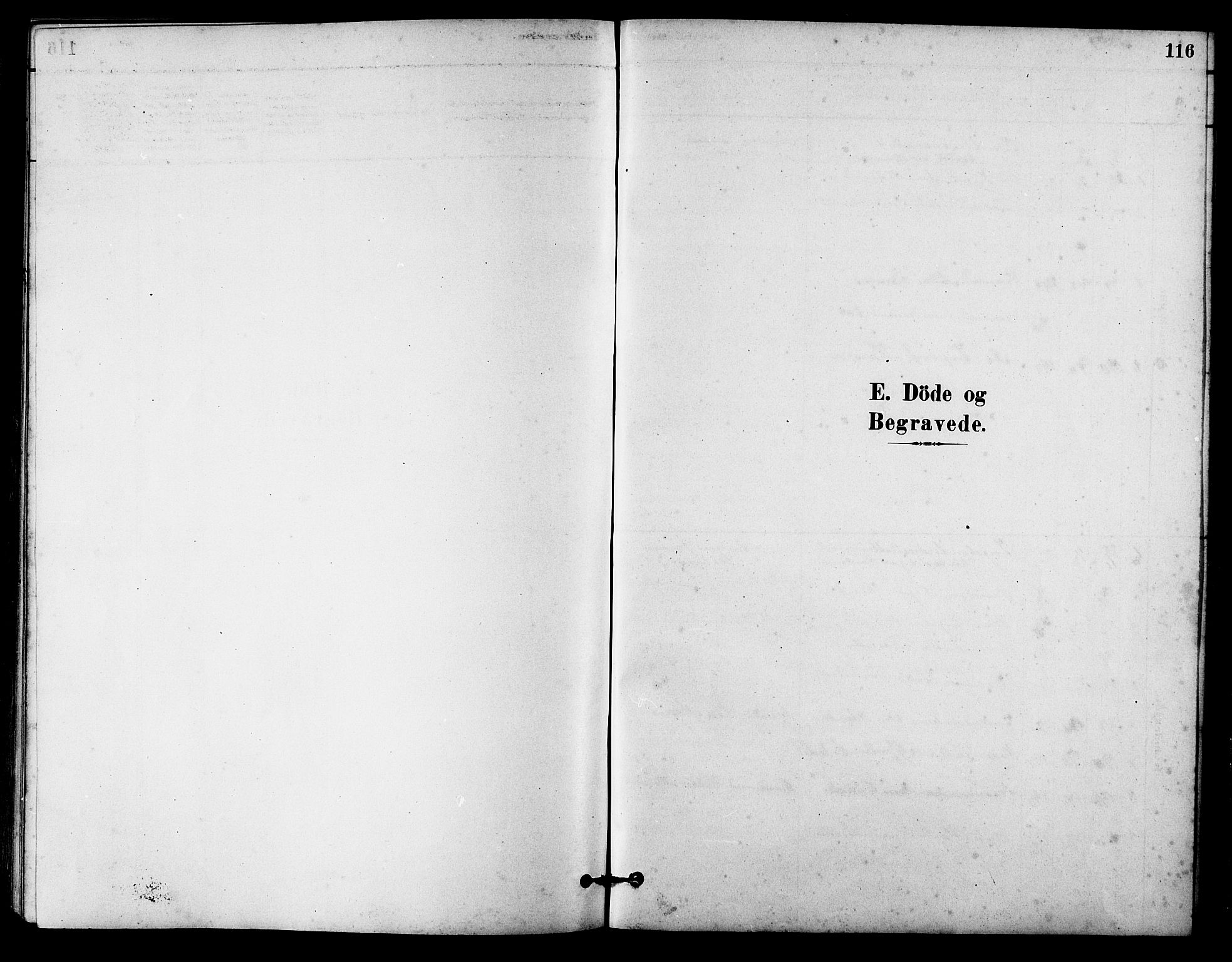 Ministerialprotokoller, klokkerbøker og fødselsregistre - Sør-Trøndelag, SAT/A-1456/631/L0514: Klokkerbok nr. 631C02, 1879-1912, s. 116