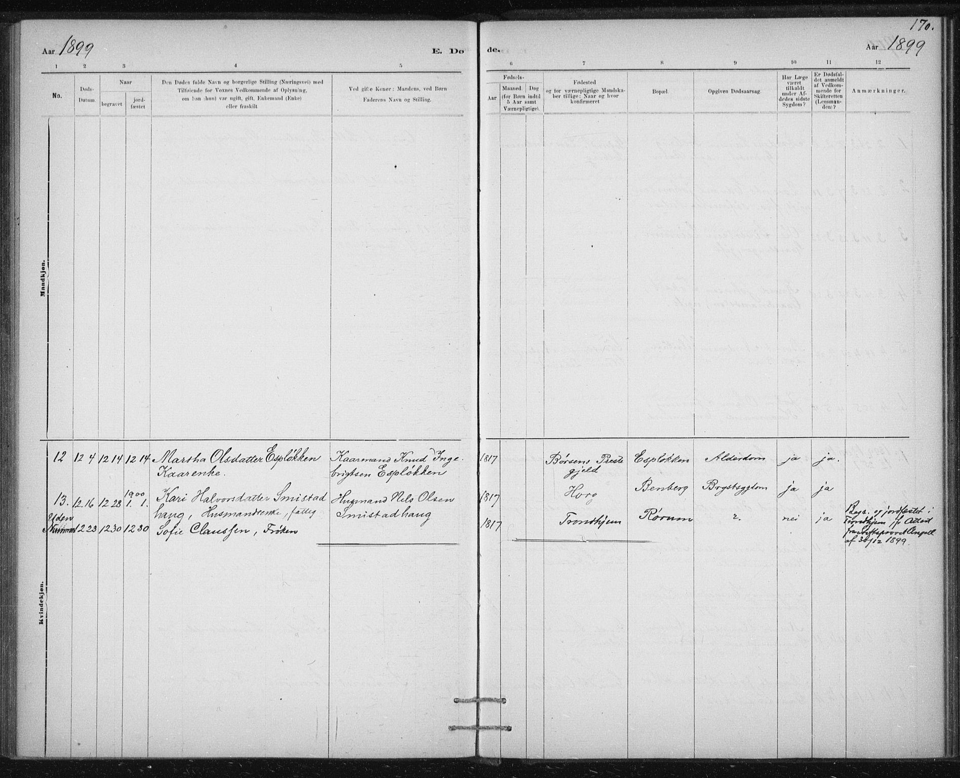 Ministerialprotokoller, klokkerbøker og fødselsregistre - Sør-Trøndelag, SAT/A-1456/613/L0392: Ministerialbok nr. 613A01, 1887-1906, s. 170