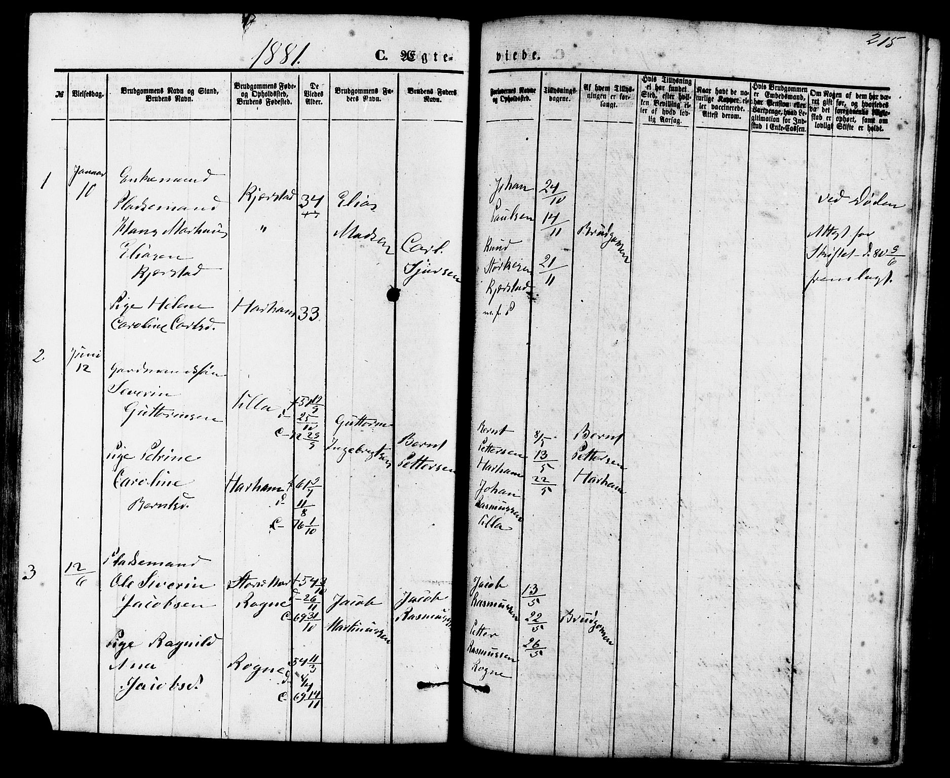 Ministerialprotokoller, klokkerbøker og fødselsregistre - Møre og Romsdal, SAT/A-1454/536/L0500: Ministerialbok nr. 536A09, 1876-1889, s. 215