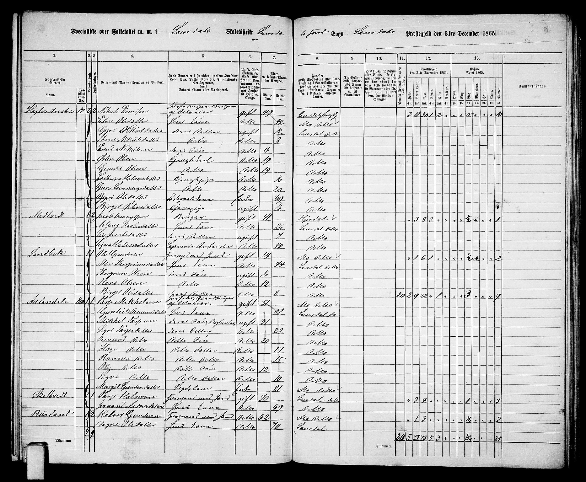 RA, Folketelling 1865 for 0833P Lårdal prestegjeld, 1865, s. 16