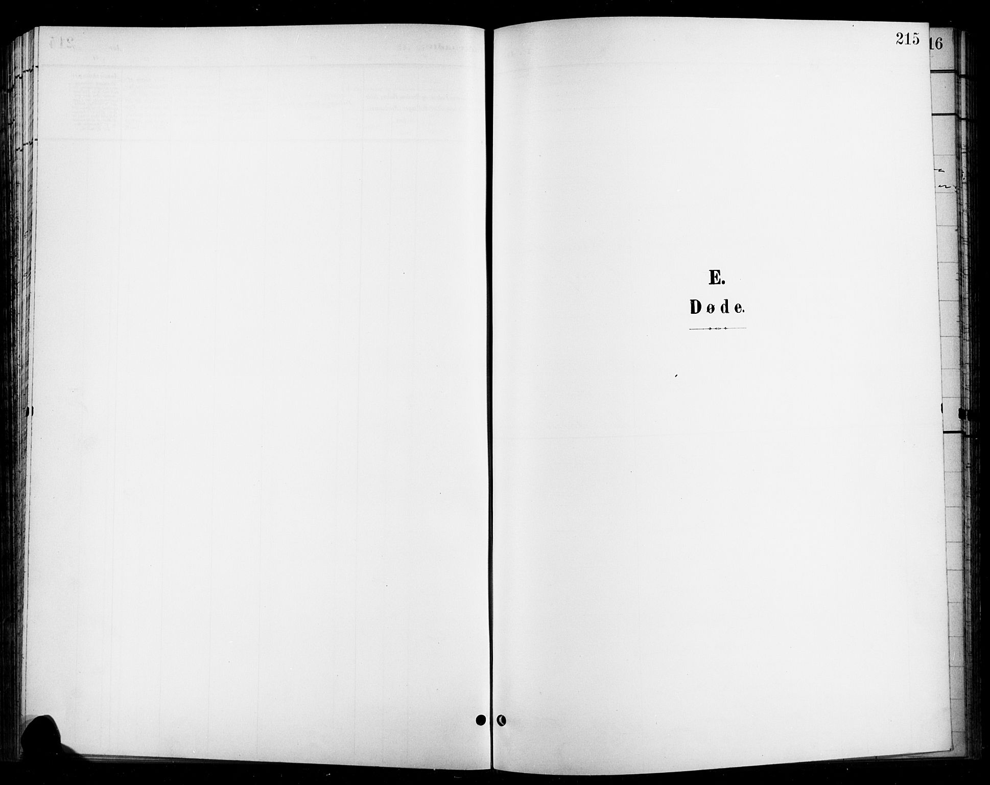 Ringebu prestekontor, SAH/PREST-082/H/Ha/Hab/L0009: Klokkerbok nr. 9, 1899-1921, s. 215
