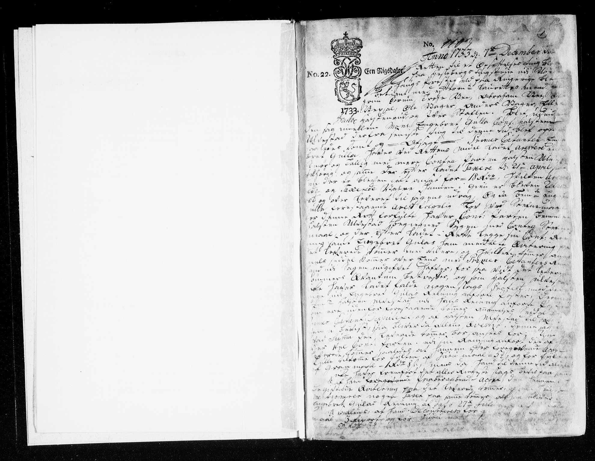 Ringerike og Hallingdal sorenskriveri, AV/SAKO-A-81/F/Fa/Faa/L0035: Tingbok, 1733-1735, s. 1