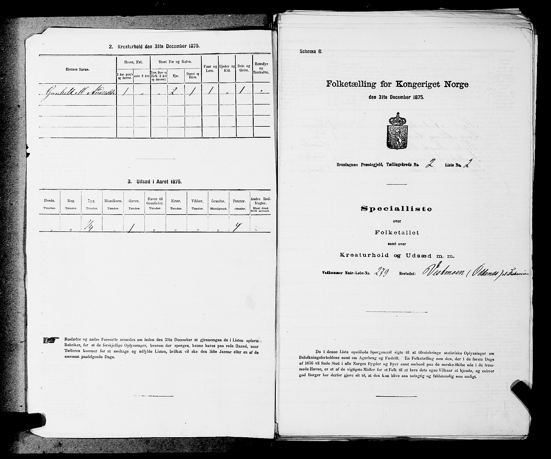 SAKO, Folketelling 1875 for 0726P Brunlanes prestegjeld, 1875, s. 202