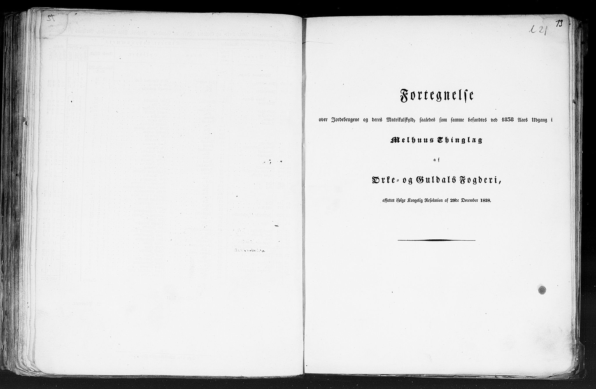 Rygh, AV/RA-PA-0034/F/Fb/L0014: Matrikkelen for 1838 - Søndre Trondhjems amt (Sør-Trøndelag fylke), 1838, s. 73a