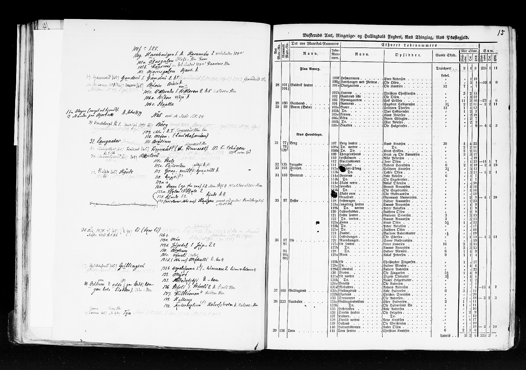 Rygh, AV/RA-PA-0034/F/Fb/L0005: Matrikkelen for 1838 - Buskerud amt (Buskerud fylke), 1838, s. 15a