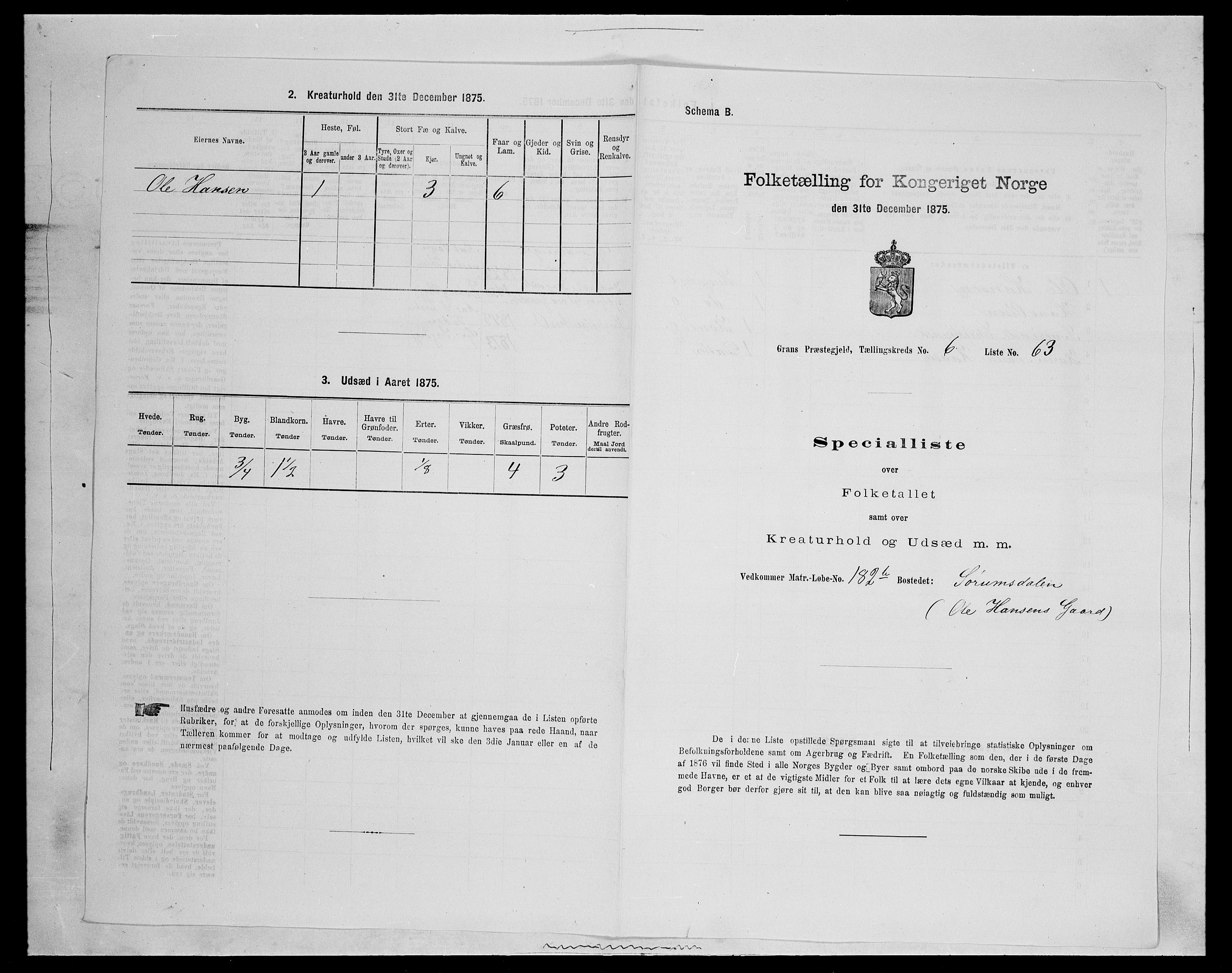 SAH, Folketelling 1875 for 0534P Gran prestegjeld, 1875, s. 1146