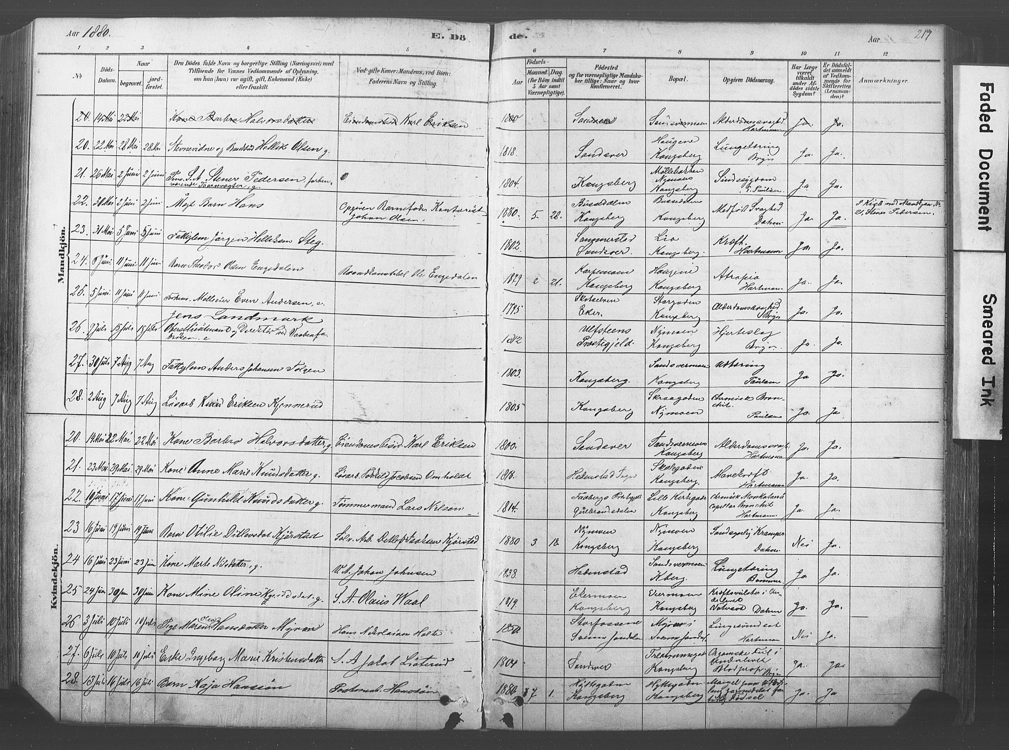 Kongsberg kirkebøker, AV/SAKO-A-22/F/Fb/L0001: Ministerialbok nr. II 1, 1878-1886, s. 217