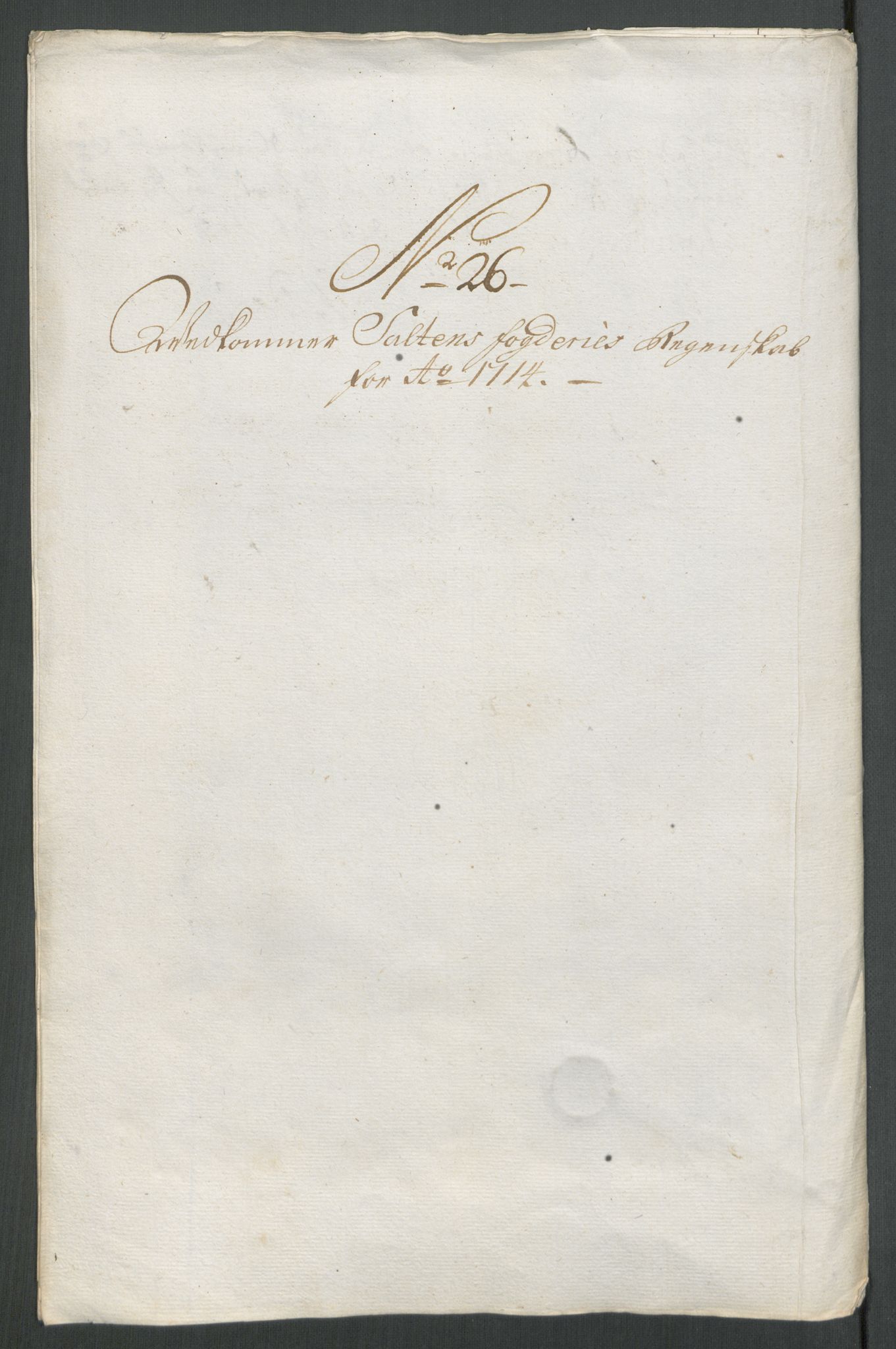 Rentekammeret inntil 1814, Reviderte regnskaper, Fogderegnskap, RA/EA-4092/R66/L4584: Fogderegnskap Salten, 1714, s. 239