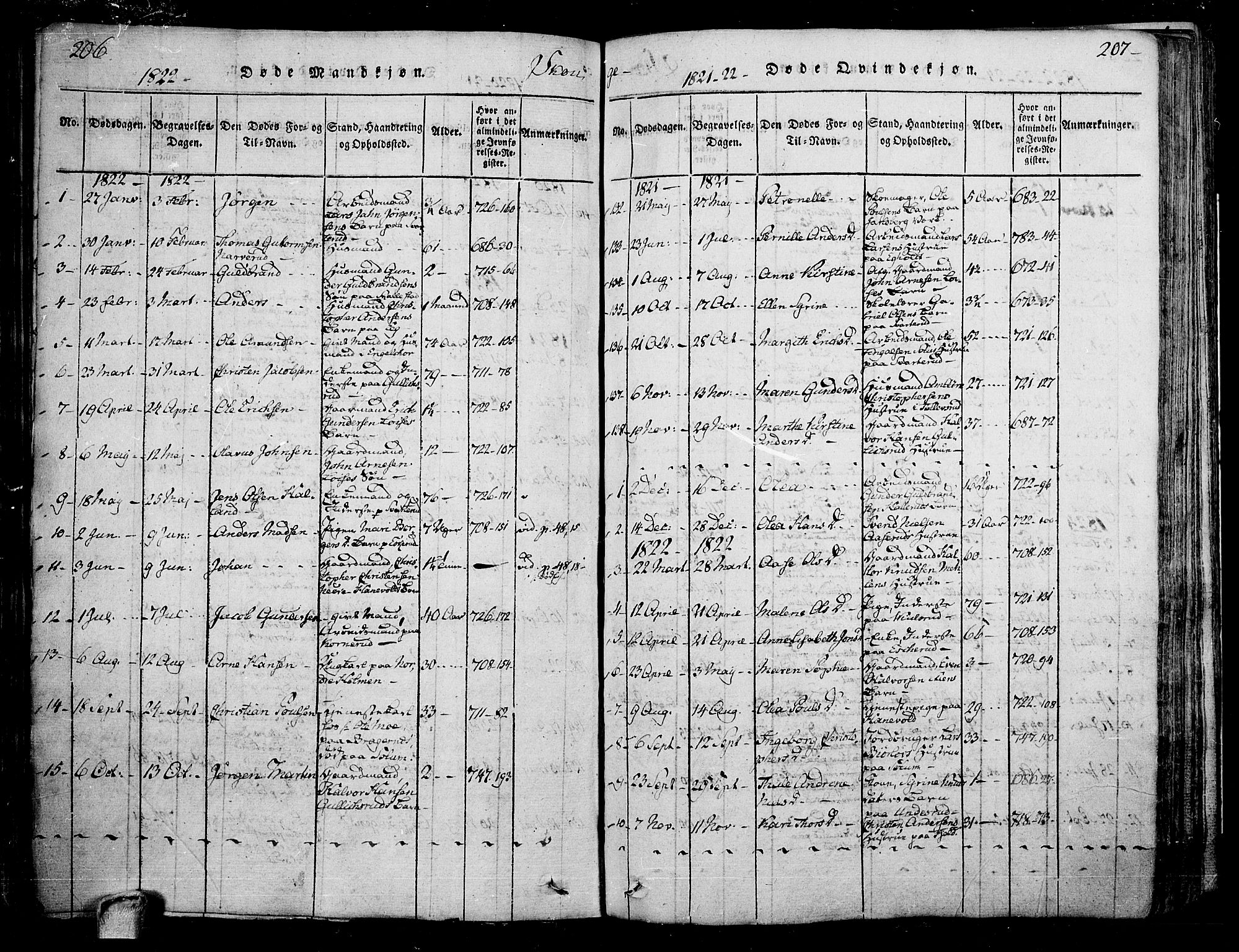 Skoger kirkebøker, SAKO/A-59/F/Fa/L0002: Ministerialbok nr. I 2 /1, 1814-1842, s. 206-207