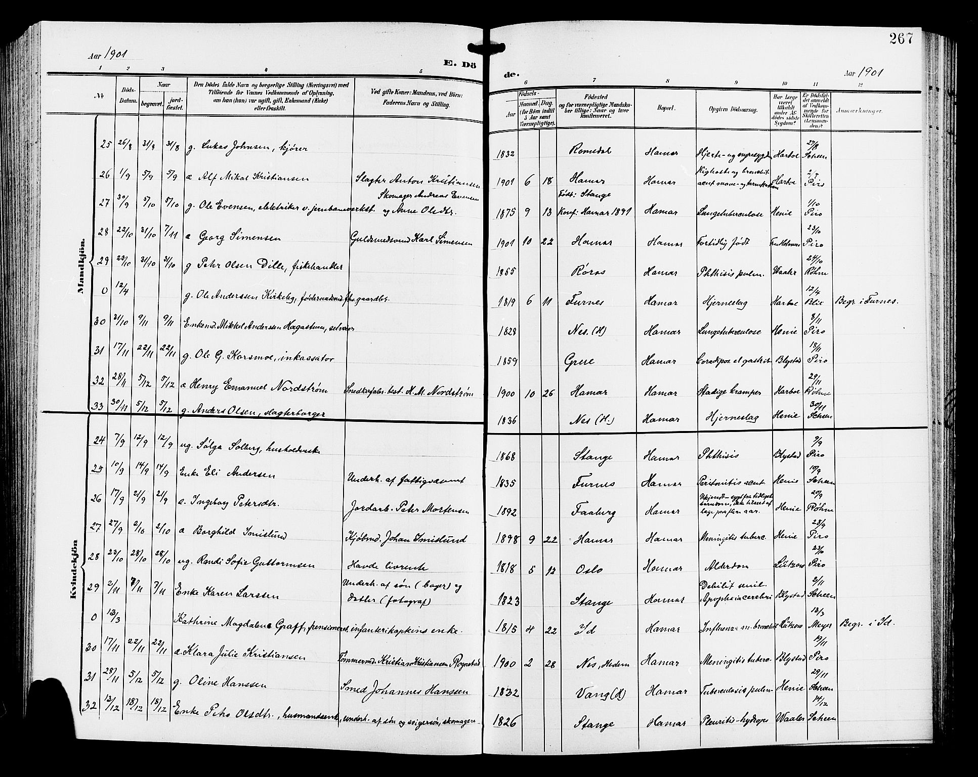 Hamar prestekontor, SAH/DOMPH-002/H/Ha/Hab/L0001: Klokkerbok nr. 1, 1899-1914, s. 267