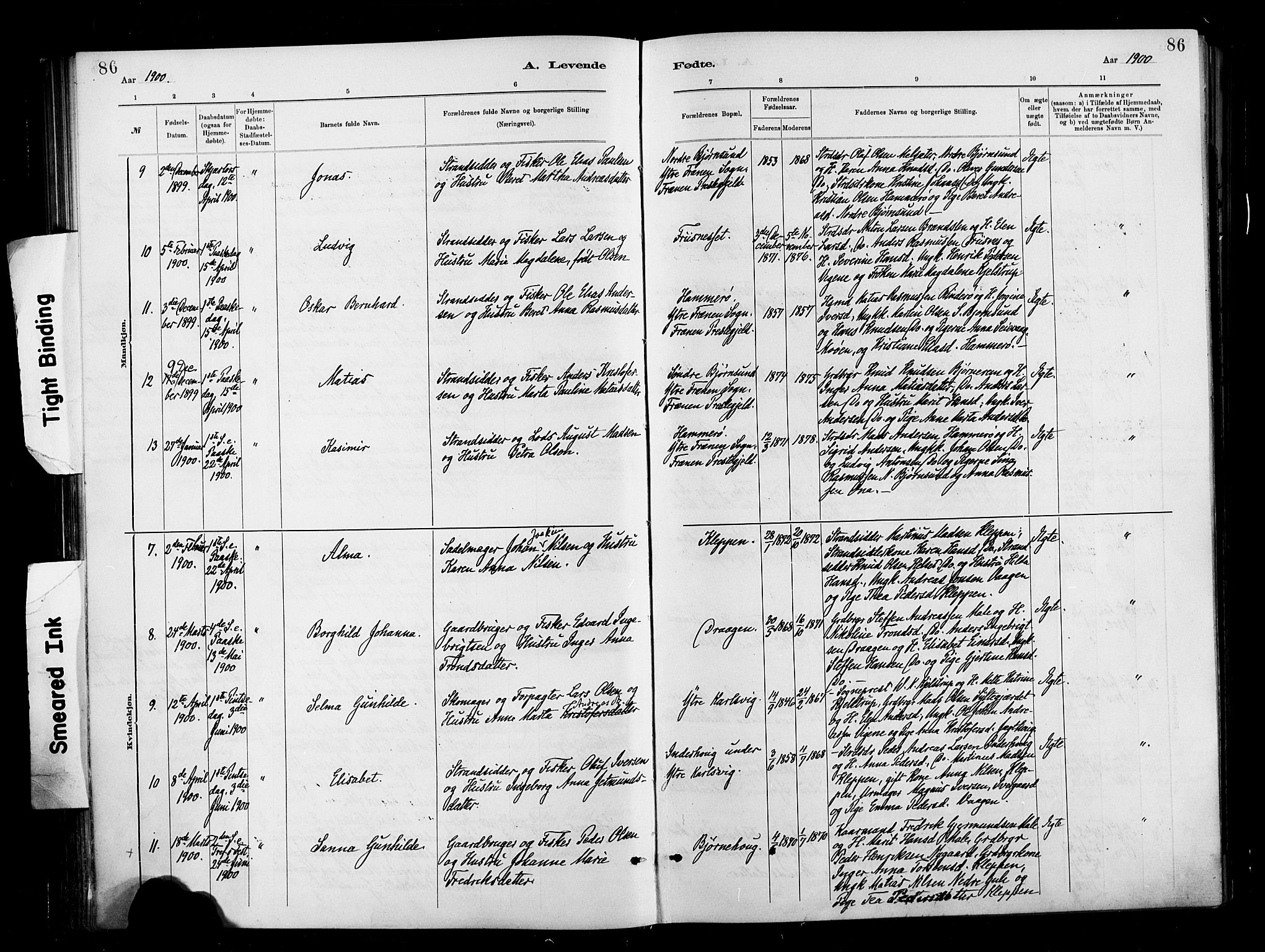 Ministerialprotokoller, klokkerbøker og fødselsregistre - Møre og Romsdal, AV/SAT-A-1454/566/L0769: Ministerialbok nr. 566A08, 1881-1903, s. 86