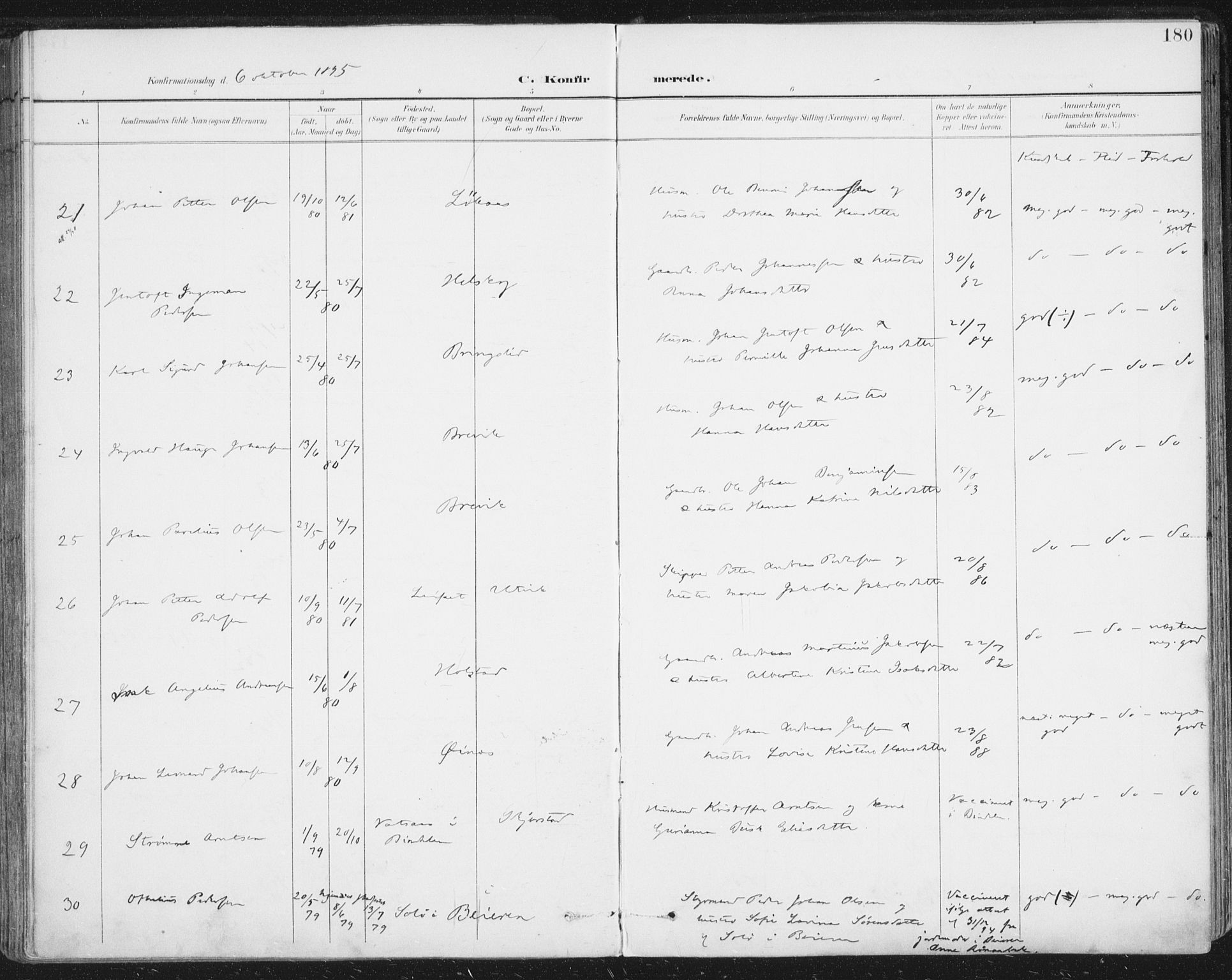 Ministerialprotokoller, klokkerbøker og fødselsregistre - Nordland, AV/SAT-A-1459/852/L0741: Ministerialbok nr. 852A11, 1894-1917, s. 180