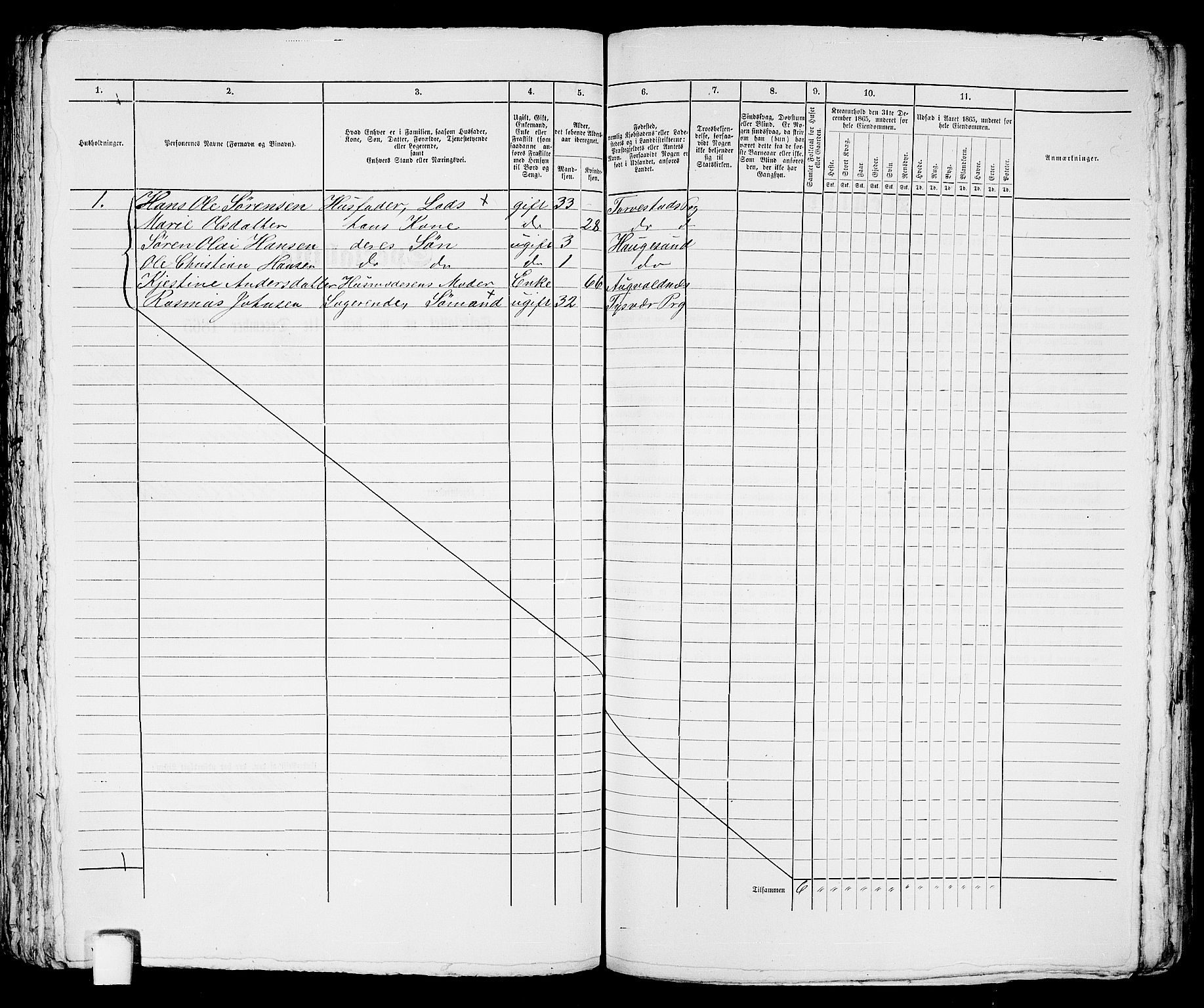 RA, Folketelling 1865 for 1106B Torvastad prestegjeld, Haugesund ladested, 1865, s. 455