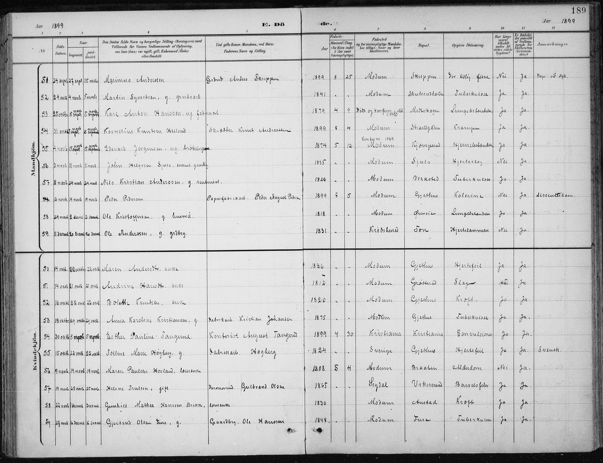 Modum kirkebøker, AV/SAKO-A-234/F/Fa/L0013: Ministerialbok nr. 13, 1899-1907, s. 189