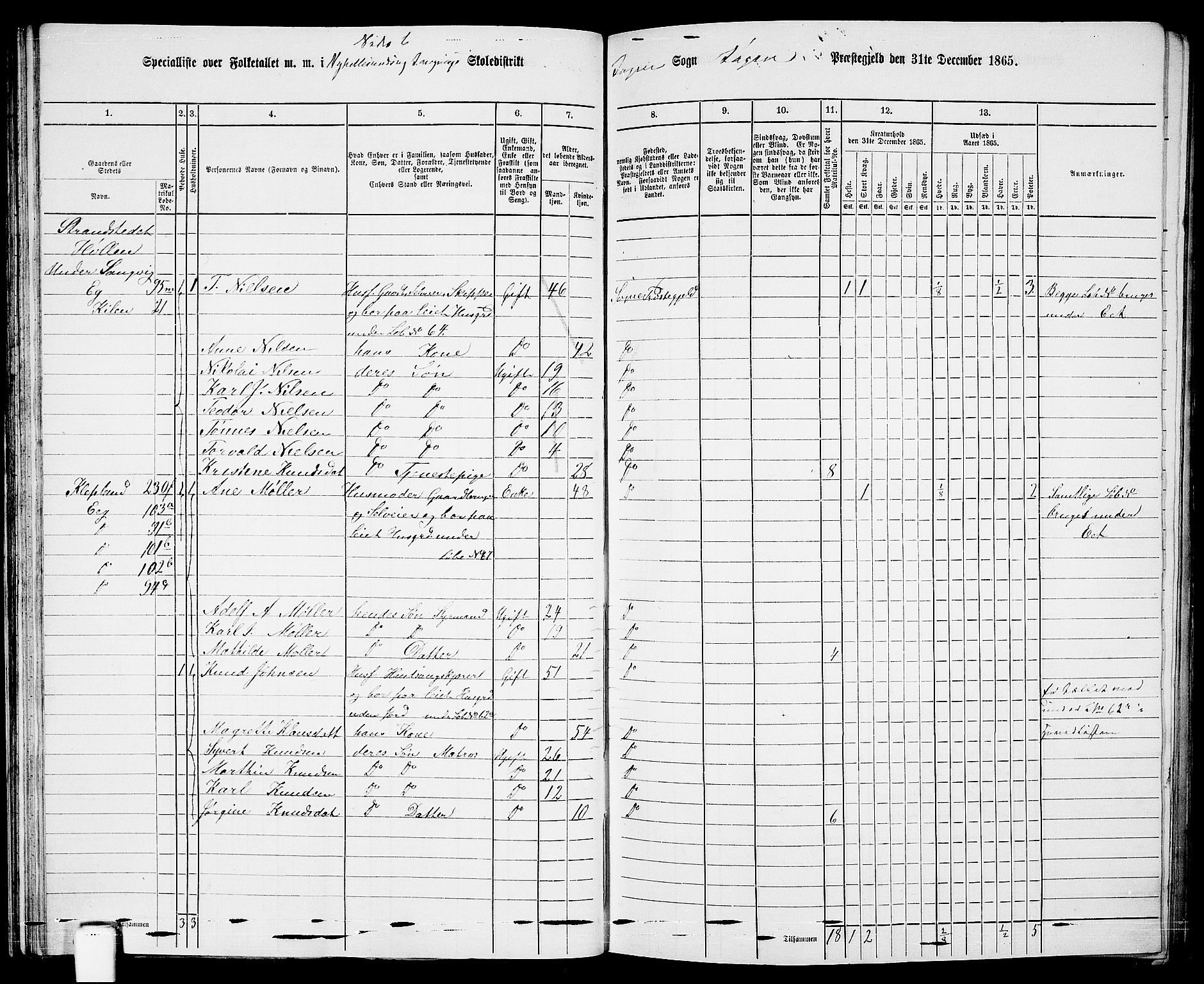 RA, Folketelling 1865 for 1018P Søgne prestegjeld, 1865, s. 55