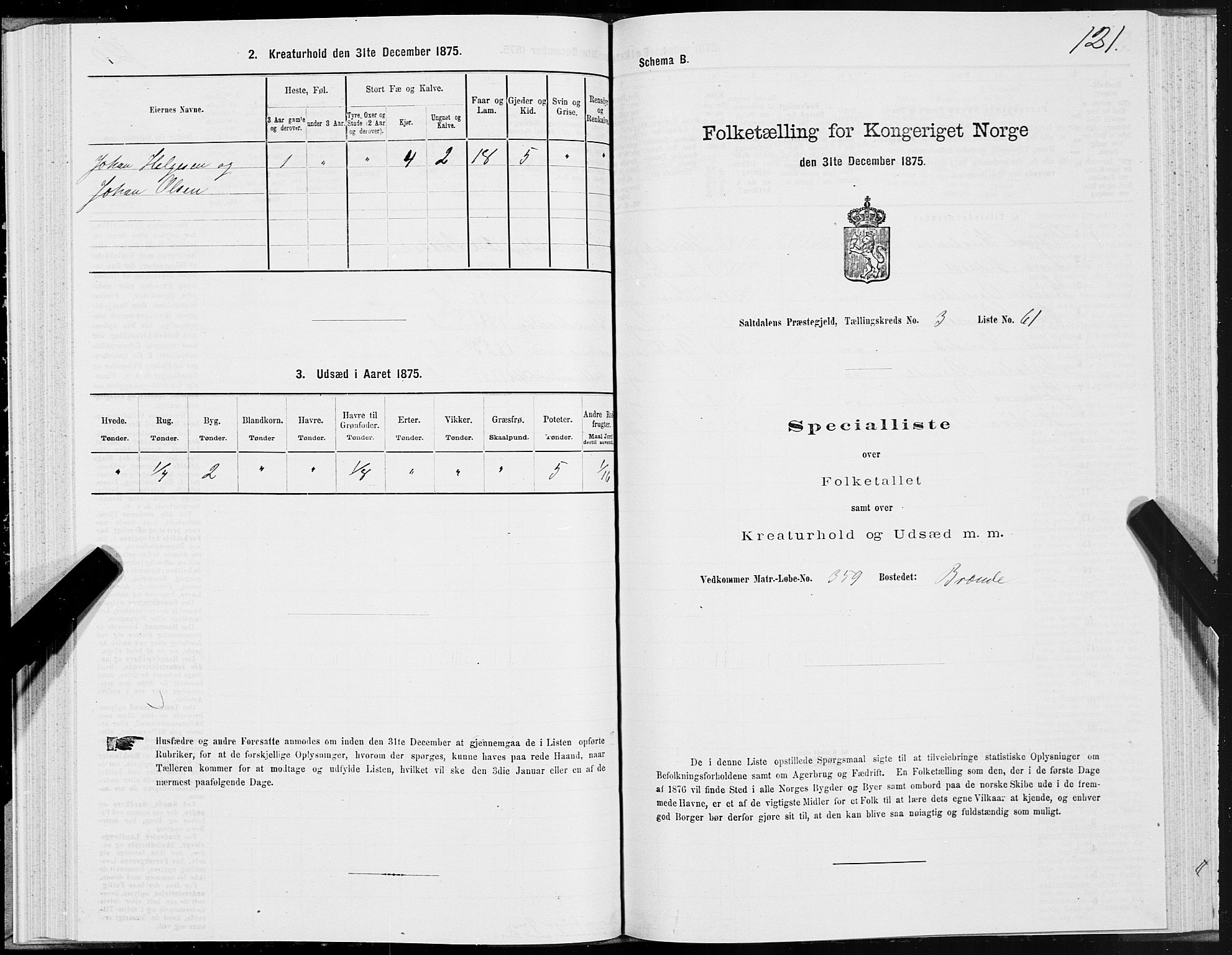 SAT, Folketelling 1875 for 1840P Saltdal prestegjeld, 1875, s. 2121
