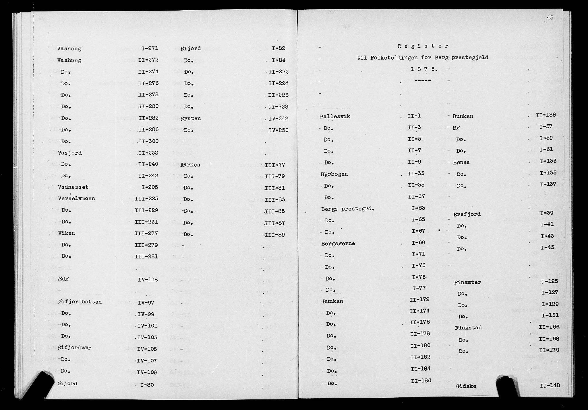 SATØ, Folketelling 1875 for 1929P Berg prestegjeld, 1875, s. 45