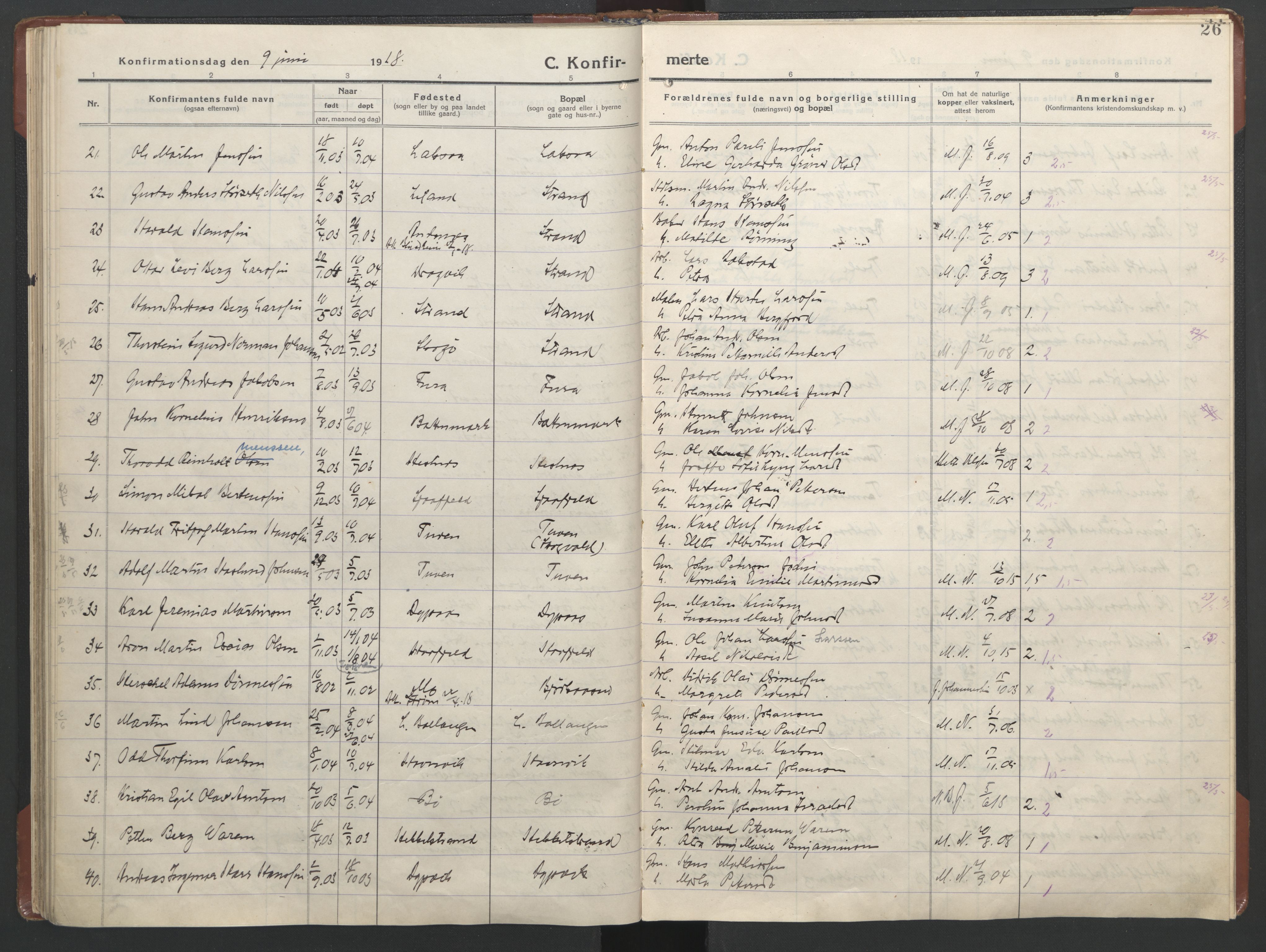 Ministerialprotokoller, klokkerbøker og fødselsregistre - Nordland, AV/SAT-A-1459/863/L0918: Klokkerbok nr. 863C08, 1906-1921, s. 26