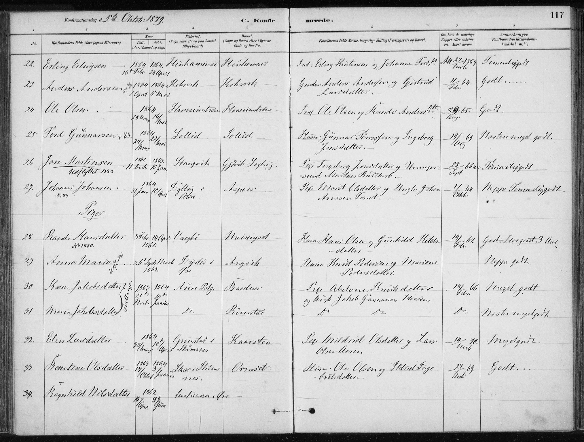 Ministerialprotokoller, klokkerbøker og fødselsregistre - Møre og Romsdal, AV/SAT-A-1454/586/L0987: Ministerialbok nr. 586A13, 1879-1892, s. 117